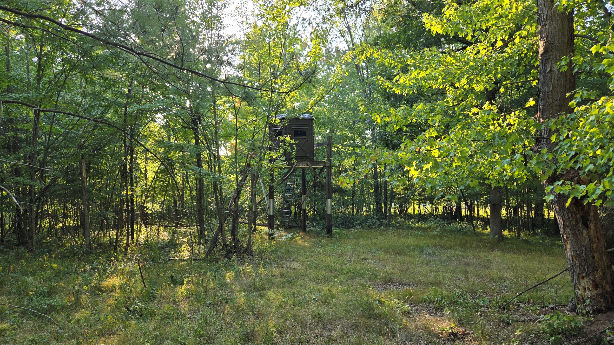 W02 State Hwy 64 Property Photo 20