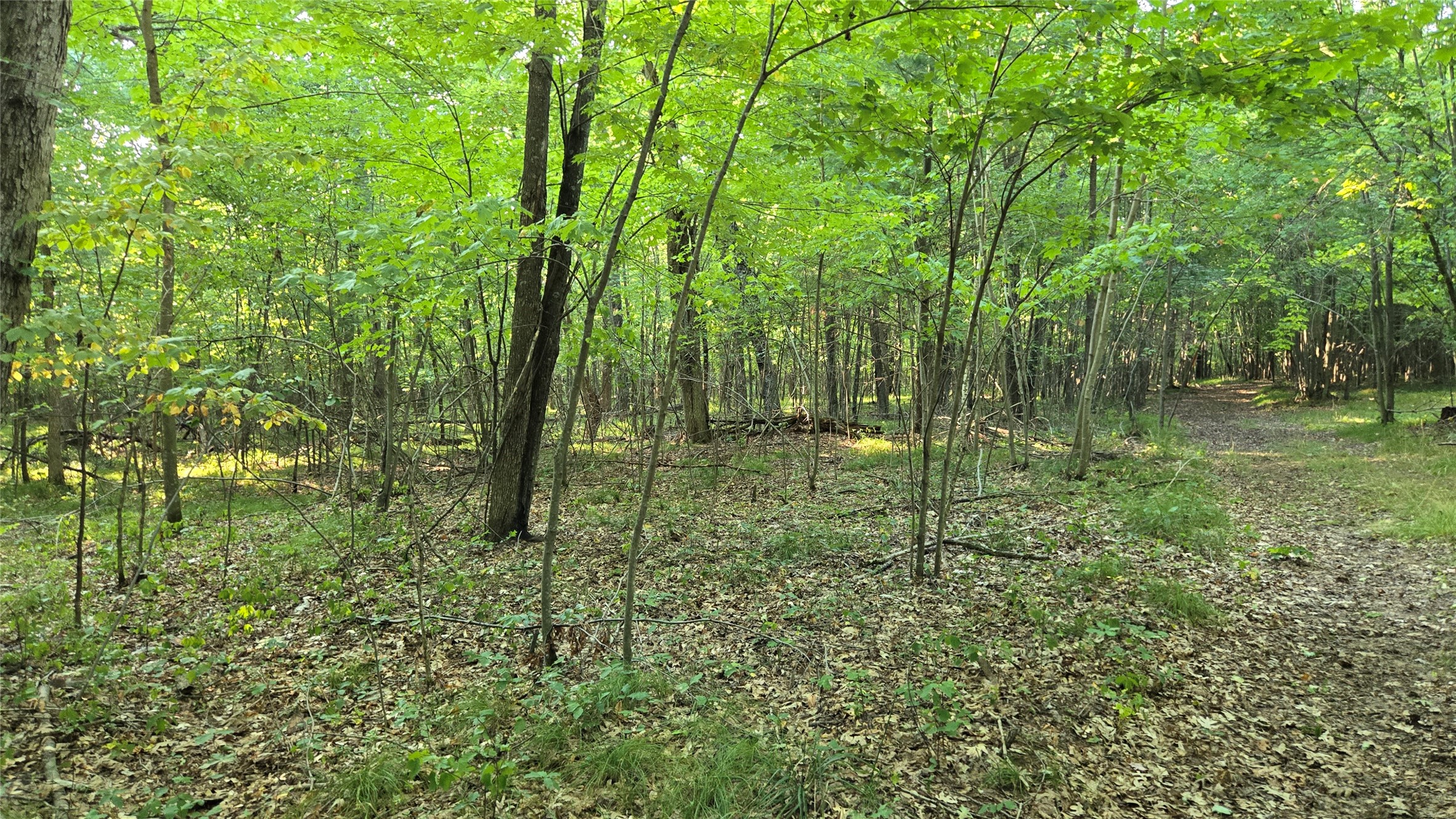 W02 State Hwy 64 Property Photo 23
