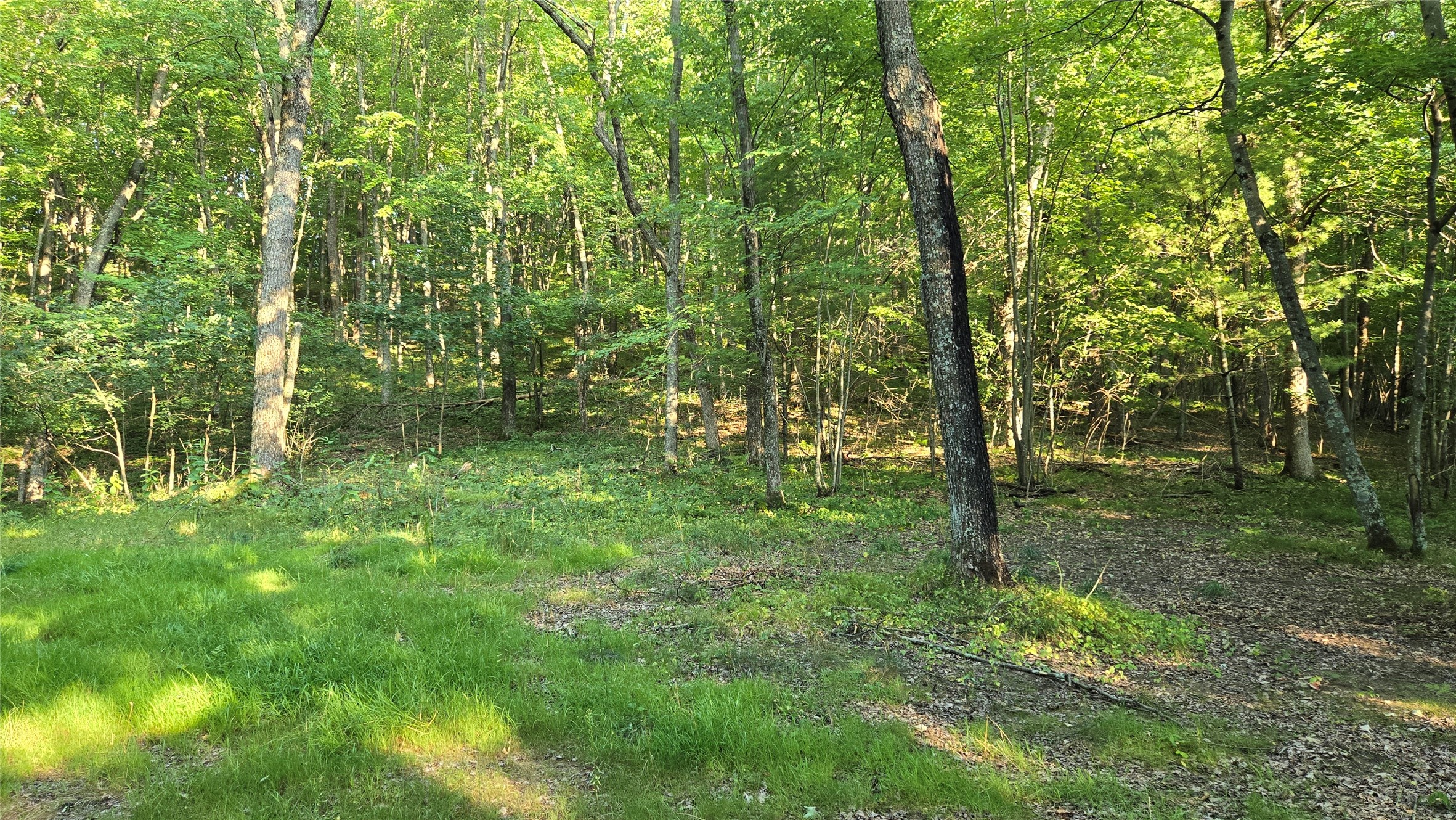 W02 State Hwy 64 Property Photo 26