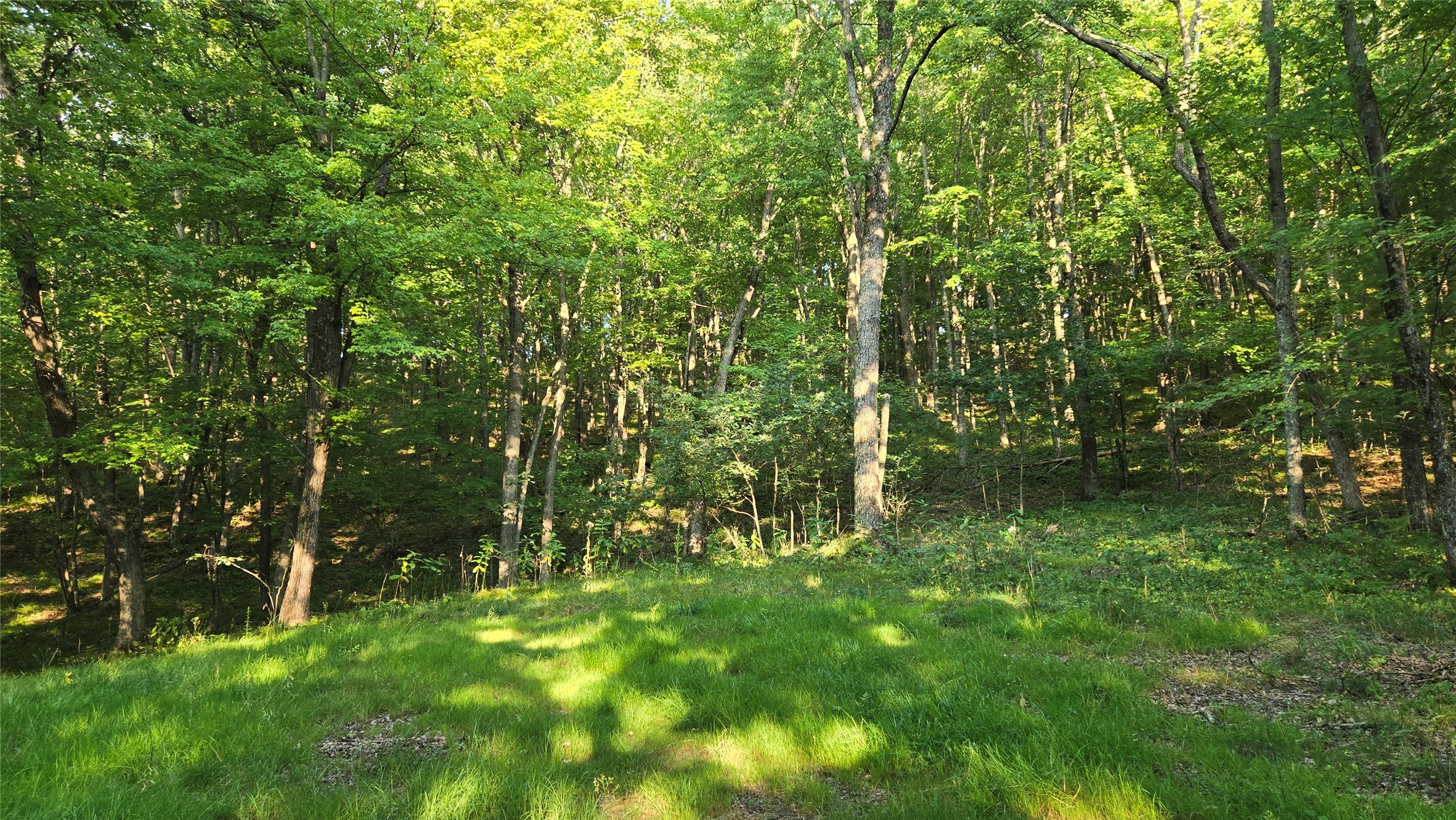 W02 State Hwy 64 Property Photo 27
