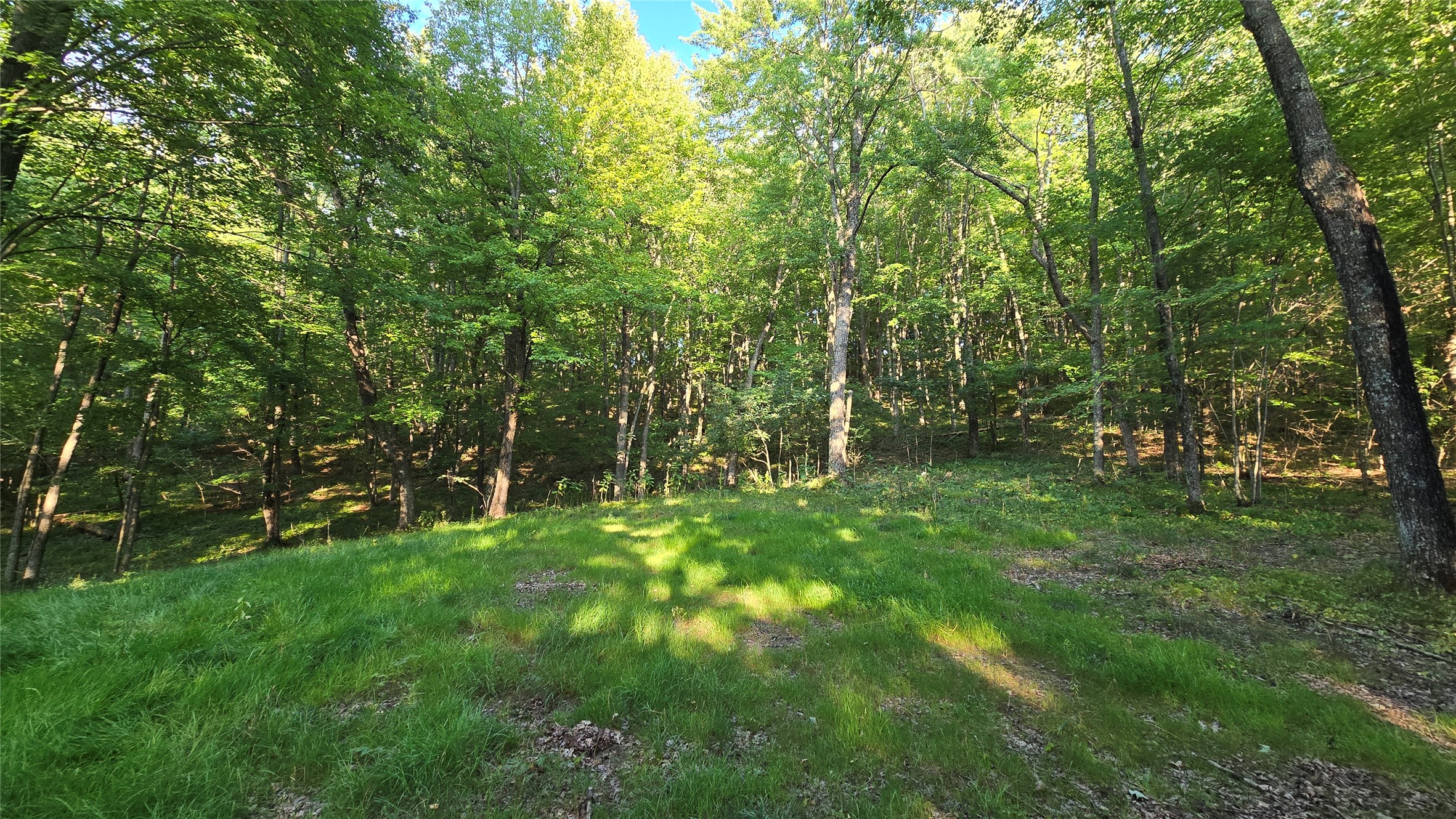 W02 State Hwy 64 Property Photo 28