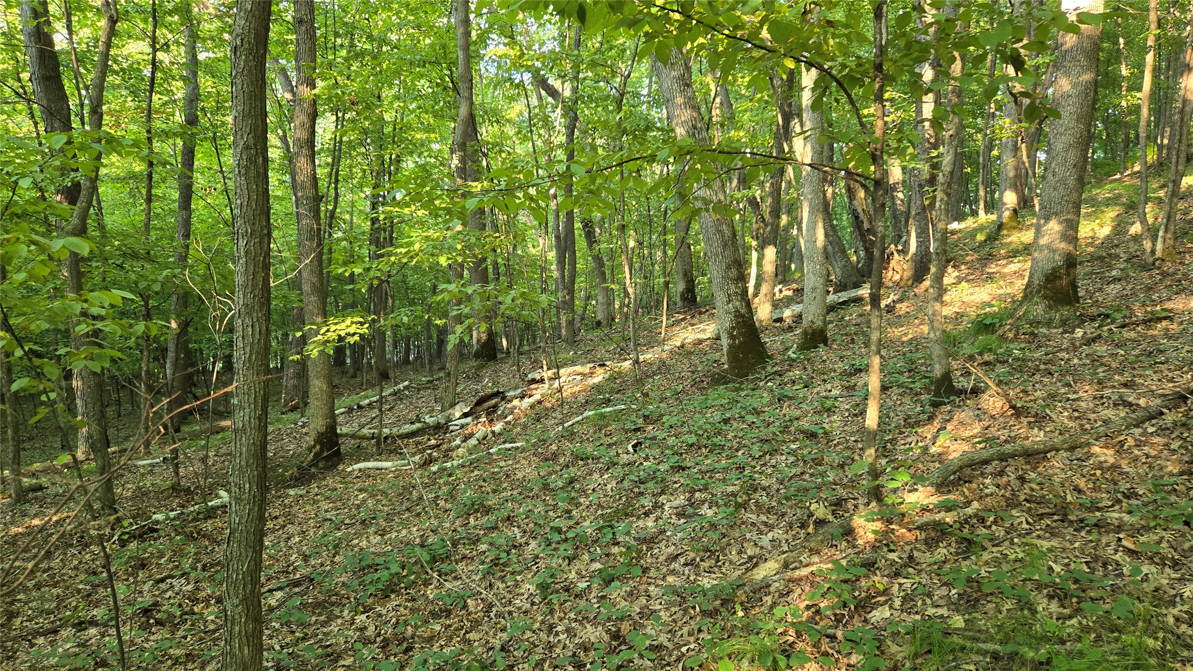 W02 State Hwy 64 Property Photo 29