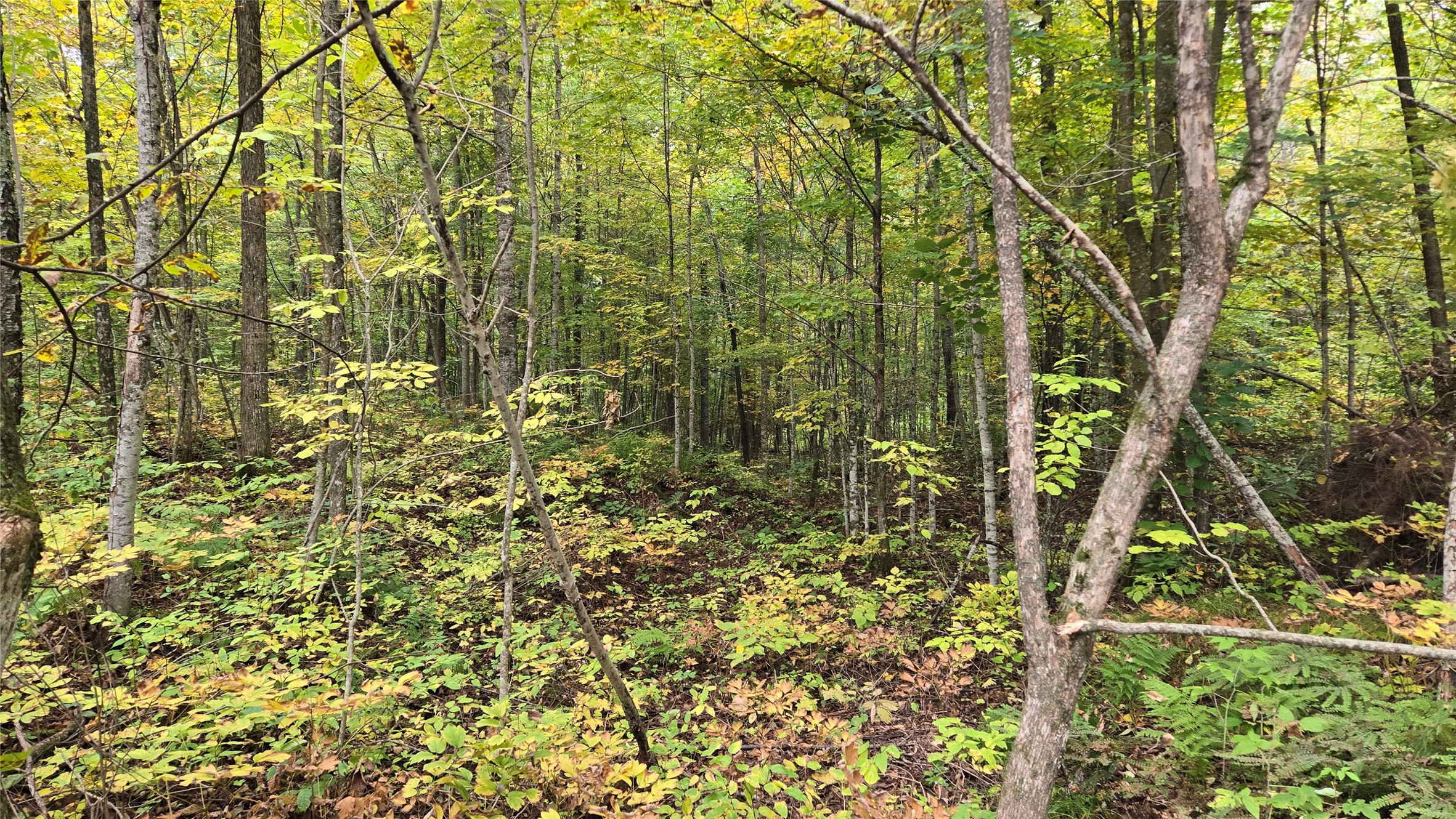 Lot 5 Deer Lake Rd. Property Photo 13