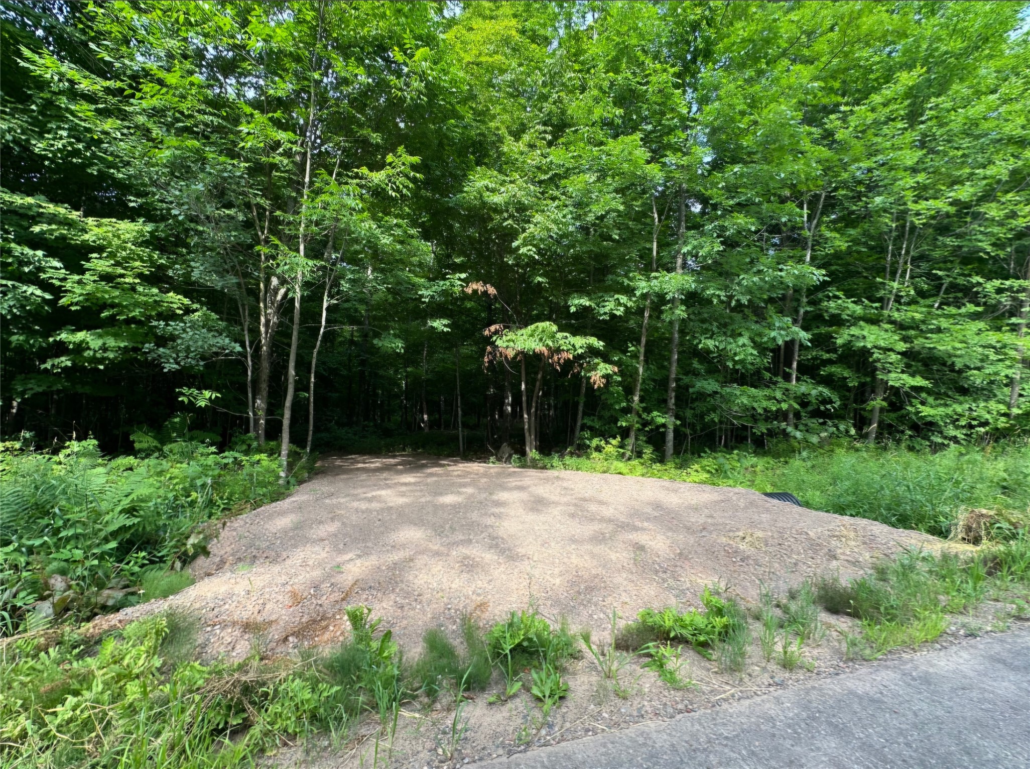Lot 5 Deer Lake Rd. Property Photo 17