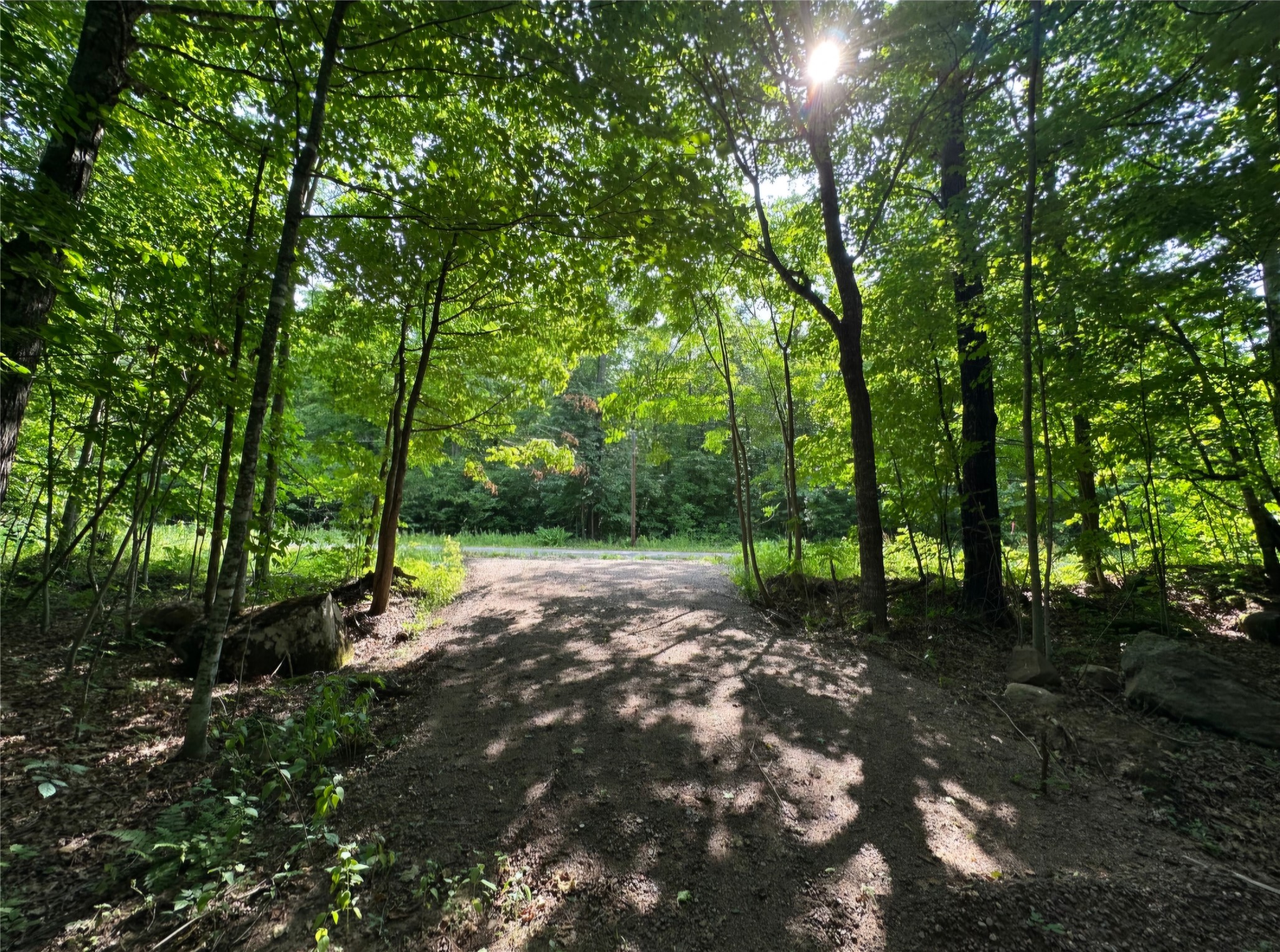 Lot 6 Deer Lake Rd. Property Photo 2
