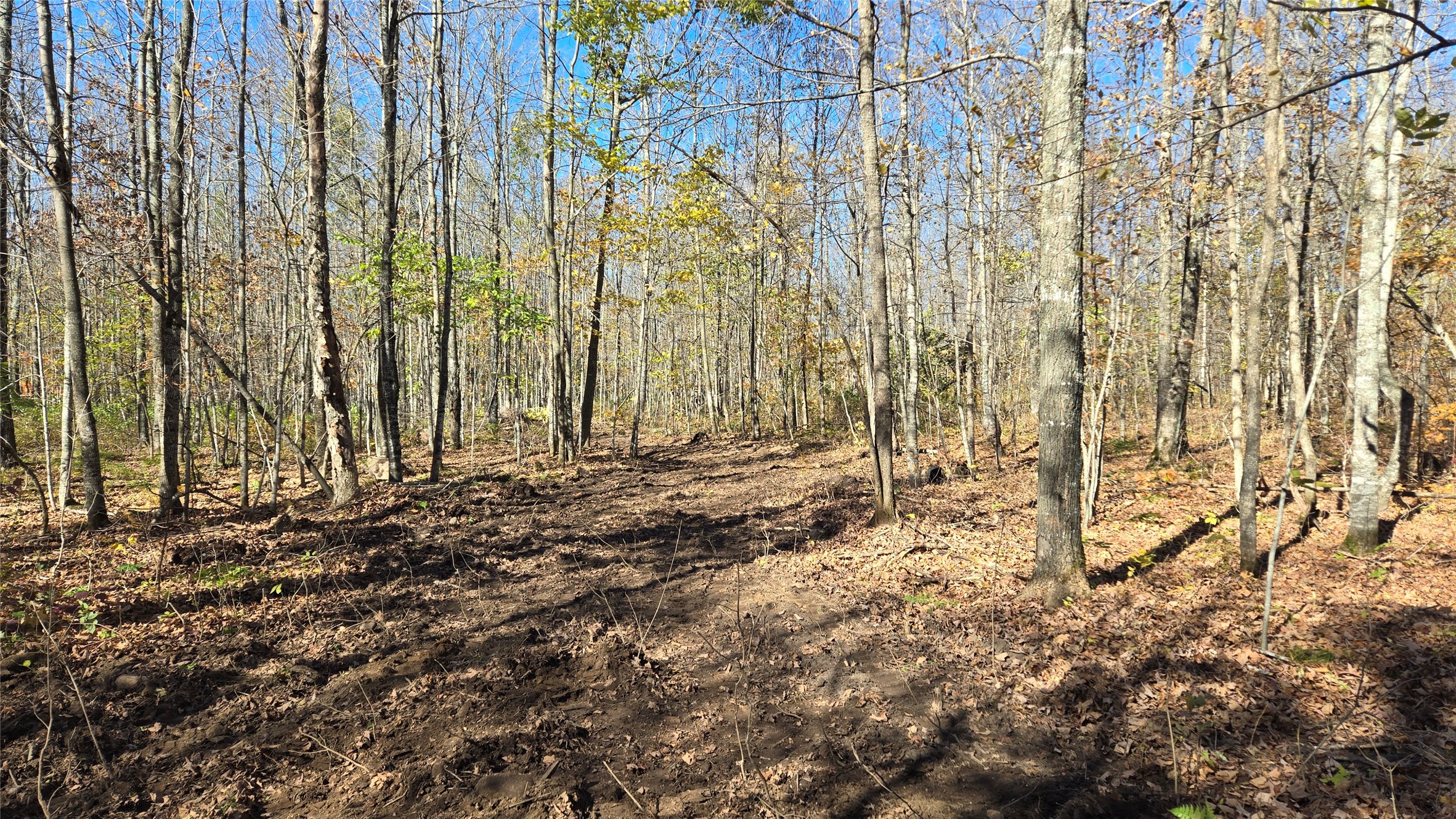 Lot 6 Deer Lake Rd. Property Photo 6