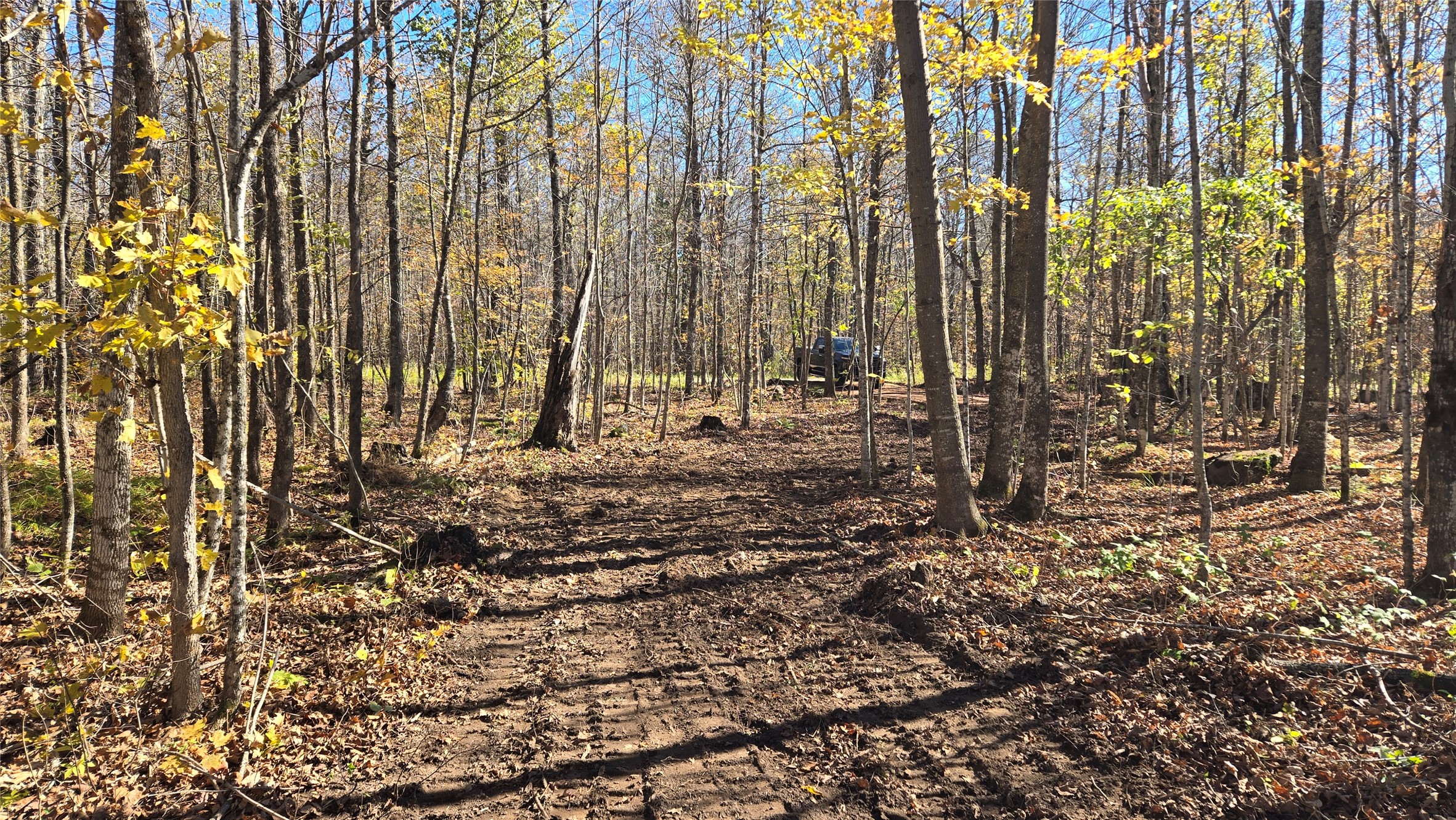 Lot 6 Deer Lake Rd. Property Photo 9
