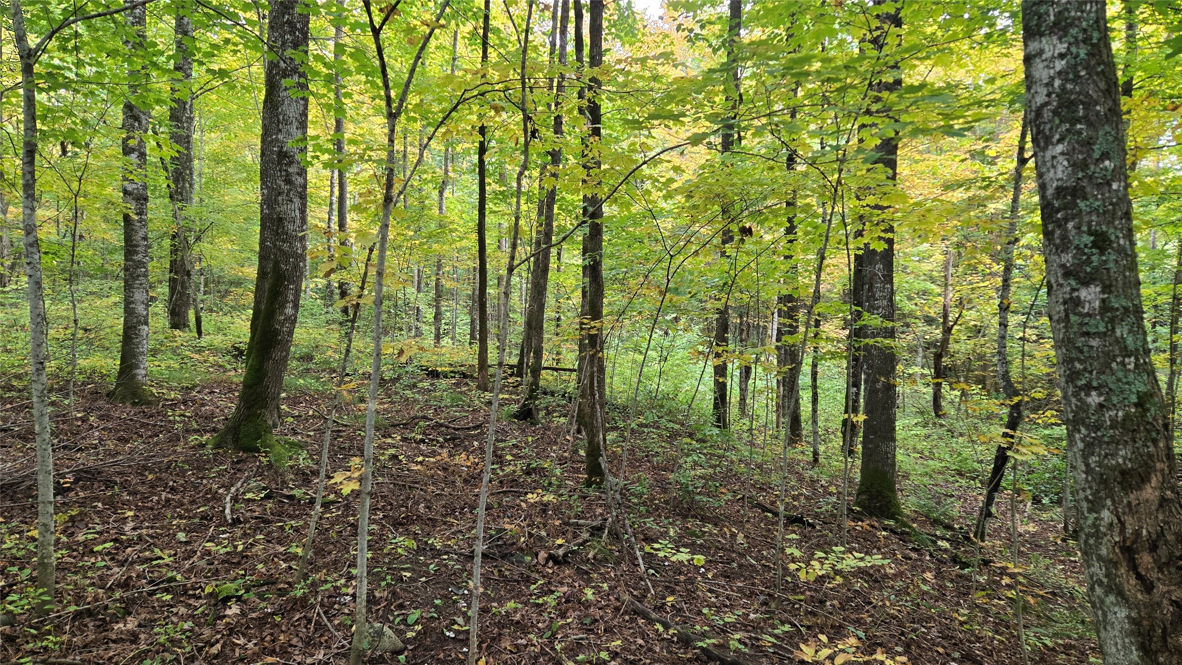 Lot 6 Deer Lake Rd. Property Photo 16