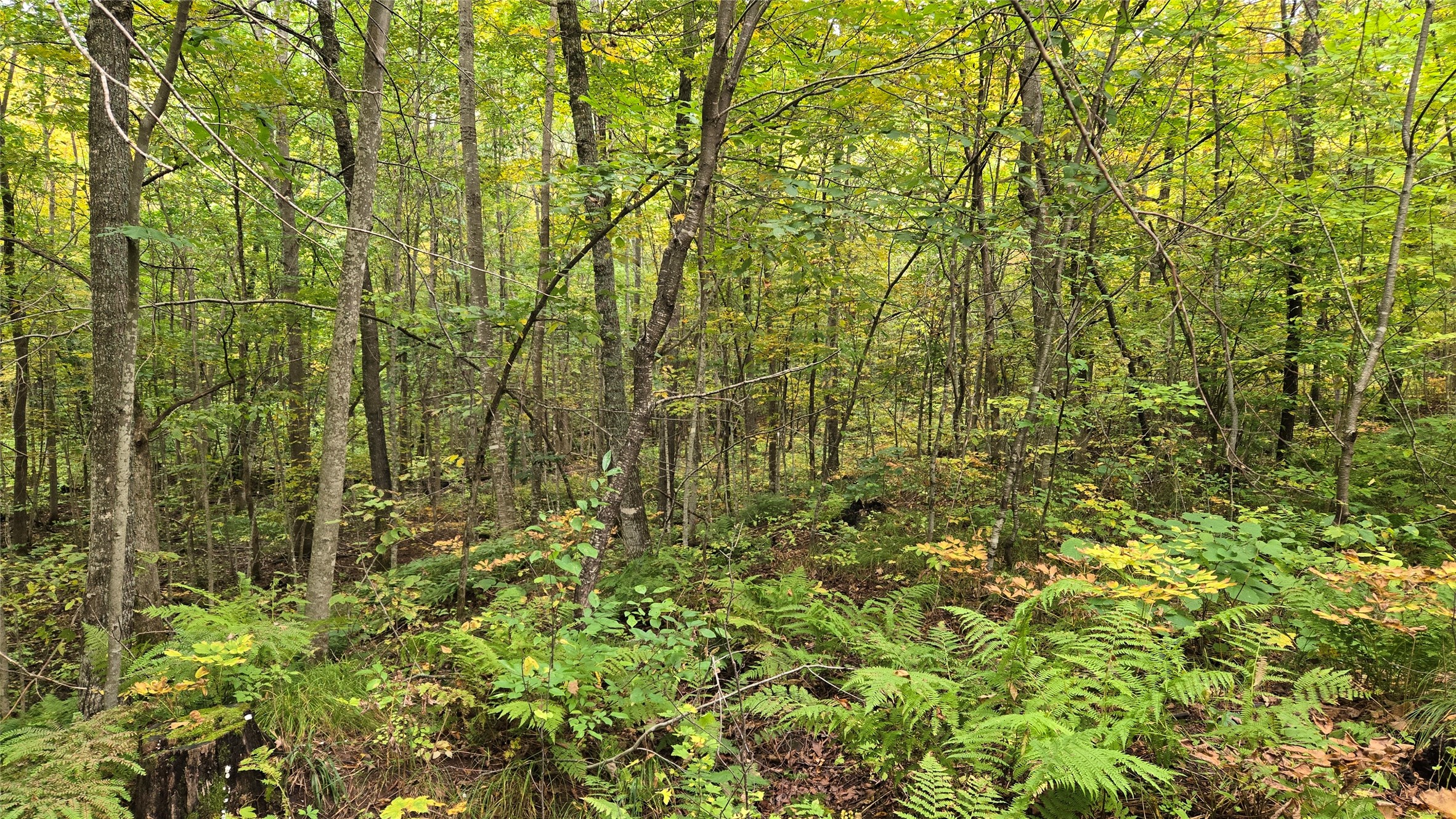 Lot 6 Deer Lake Rd. Property Photo 19