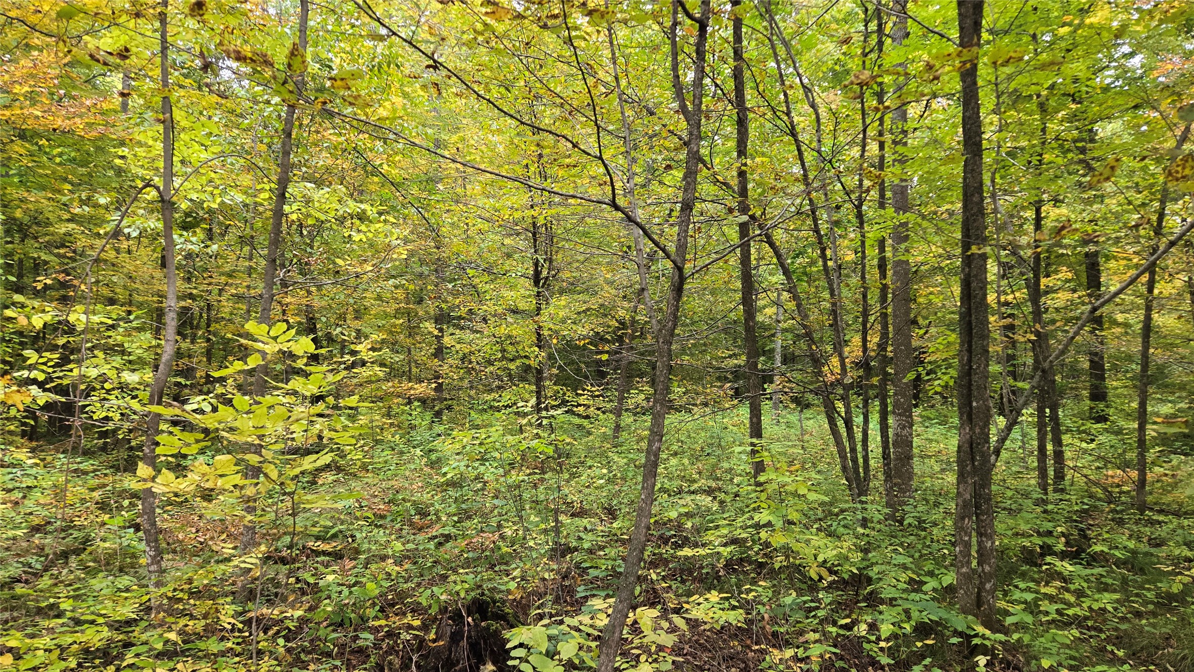 Lot 6 Deer Lake Rd. Property Photo 21