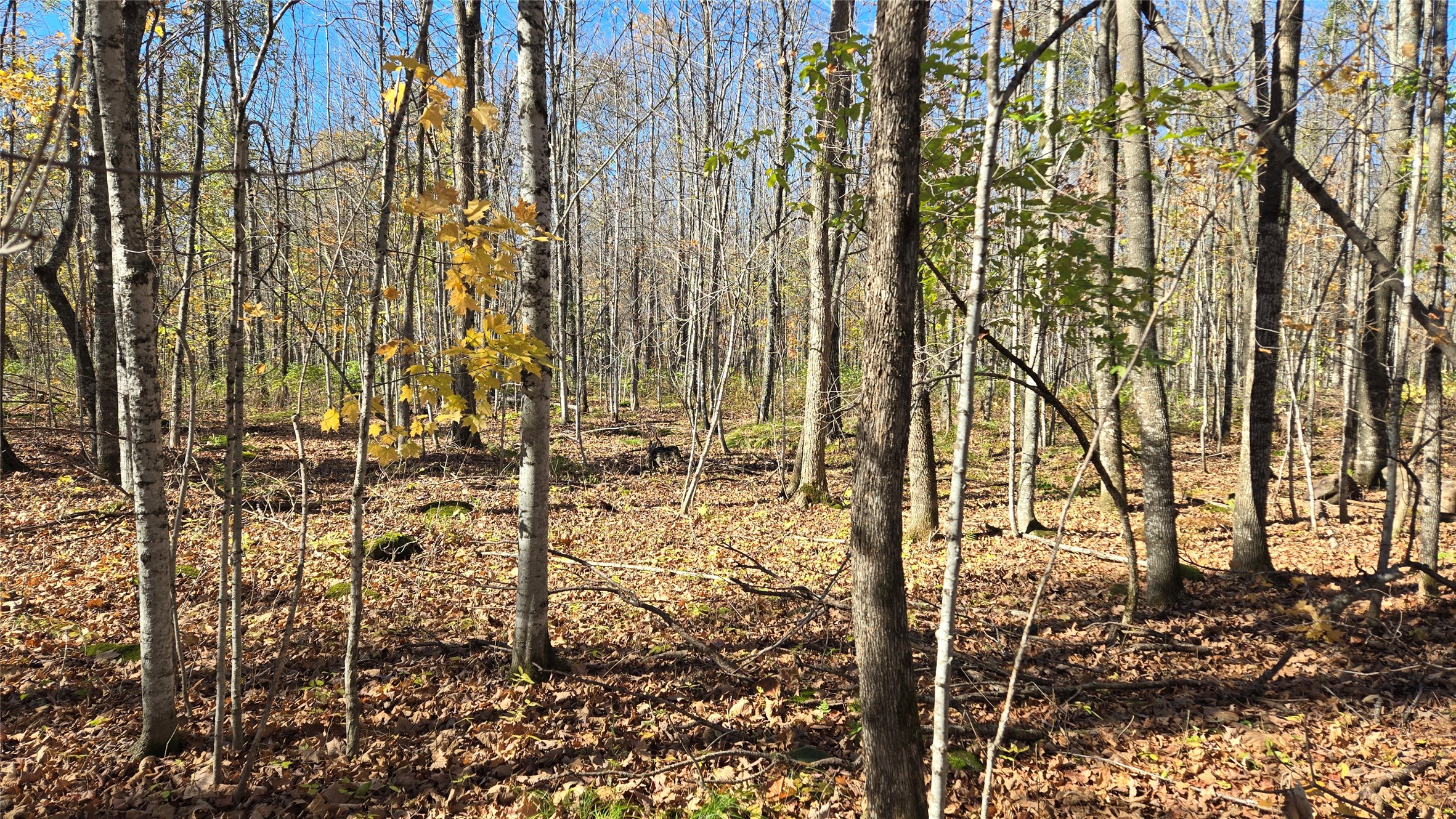 Lot 6 Deer Lake Road Property Photo 7