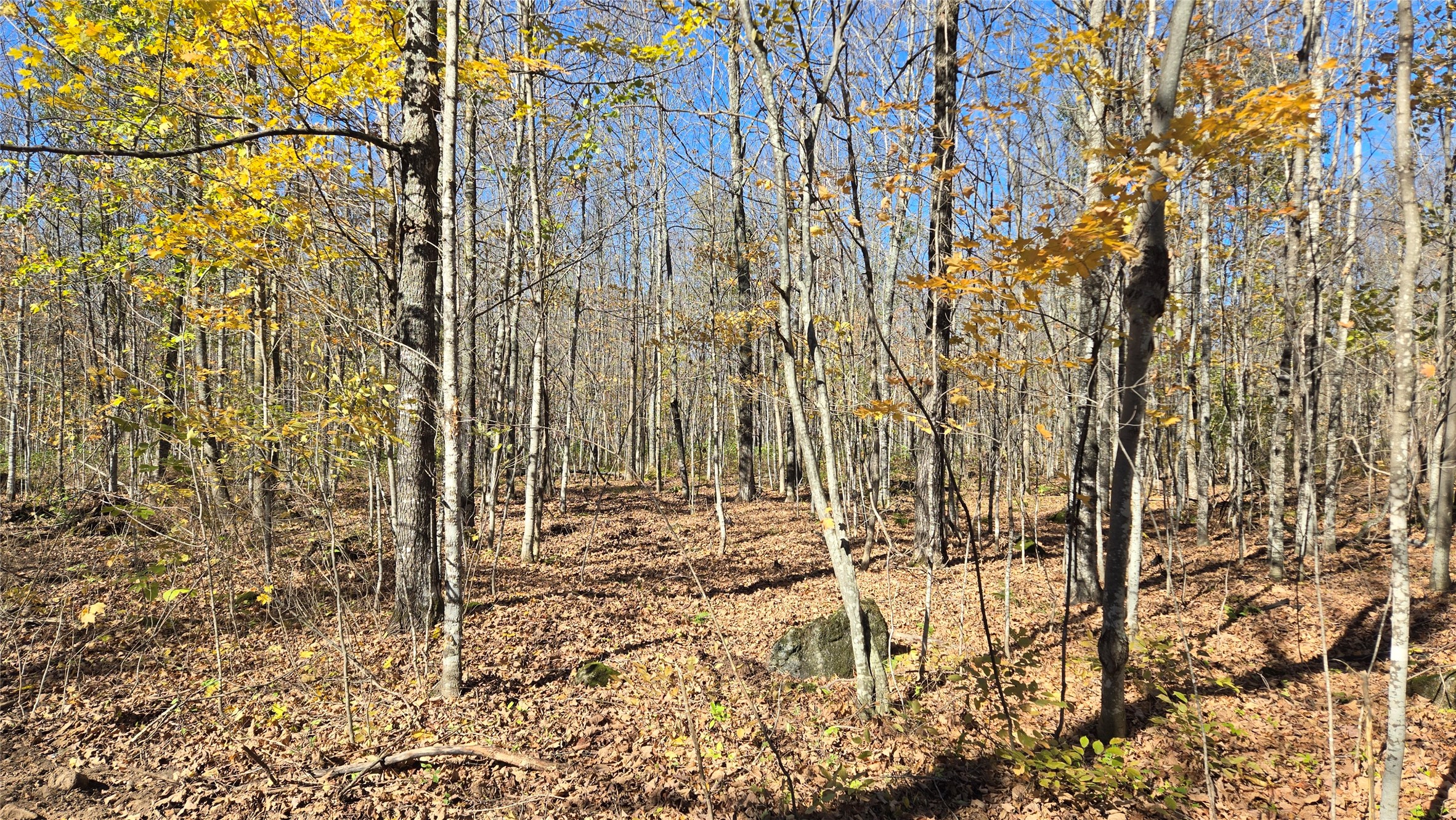 Lot 6 Deer Lake Road Property Photo 14