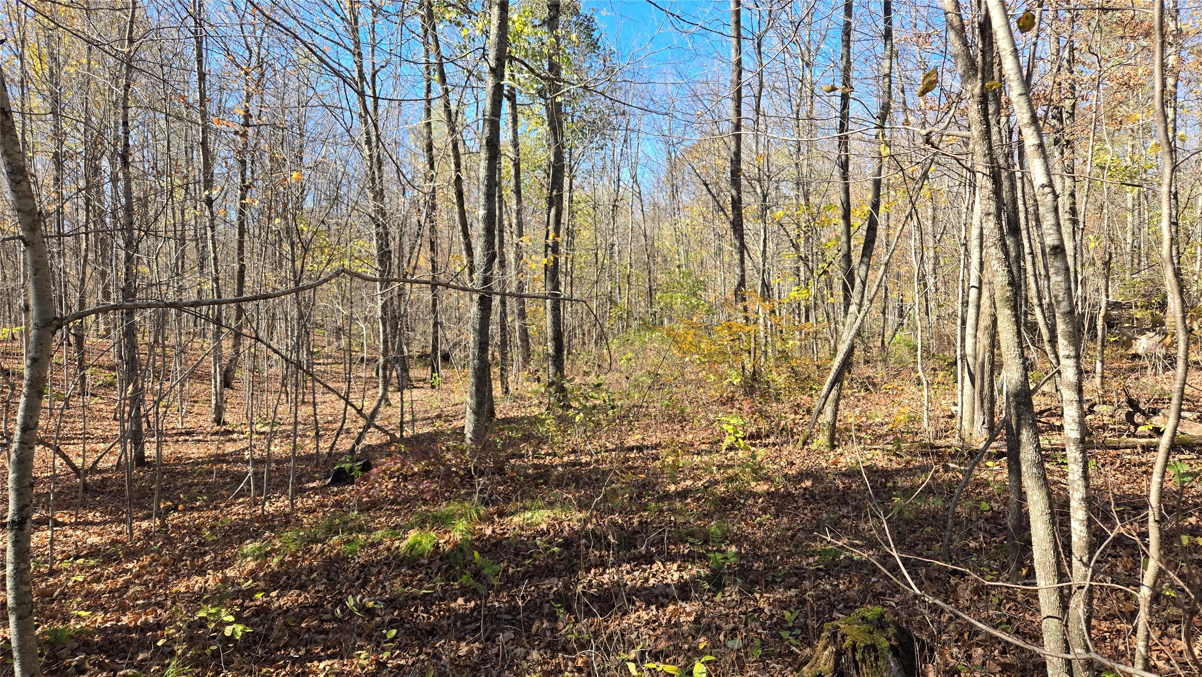 Lot 6 Deer Lake Road Property Photo 15