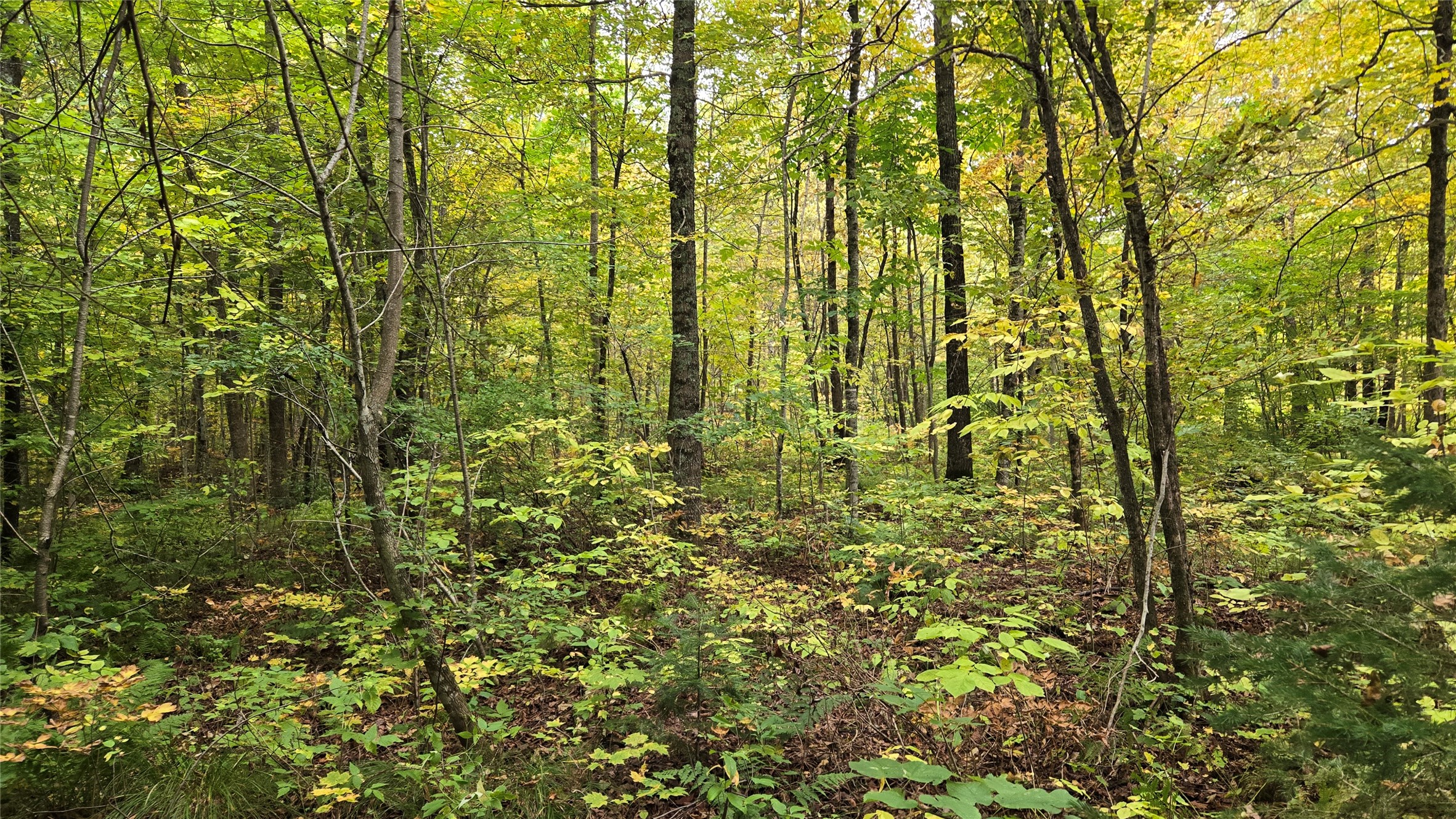 Lot 6 Deer Lake Road Property Photo 20