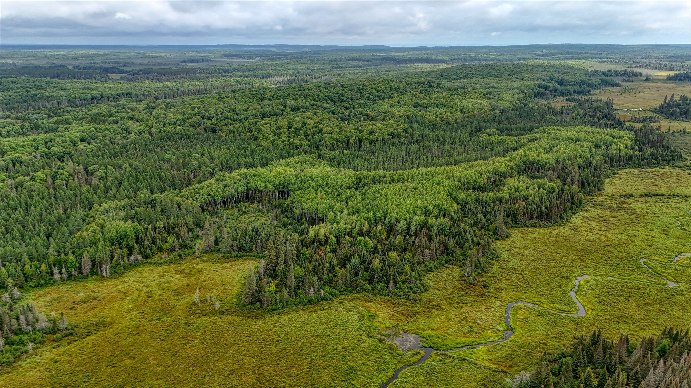 40 Acres On Fr 1769 Property Photo 2