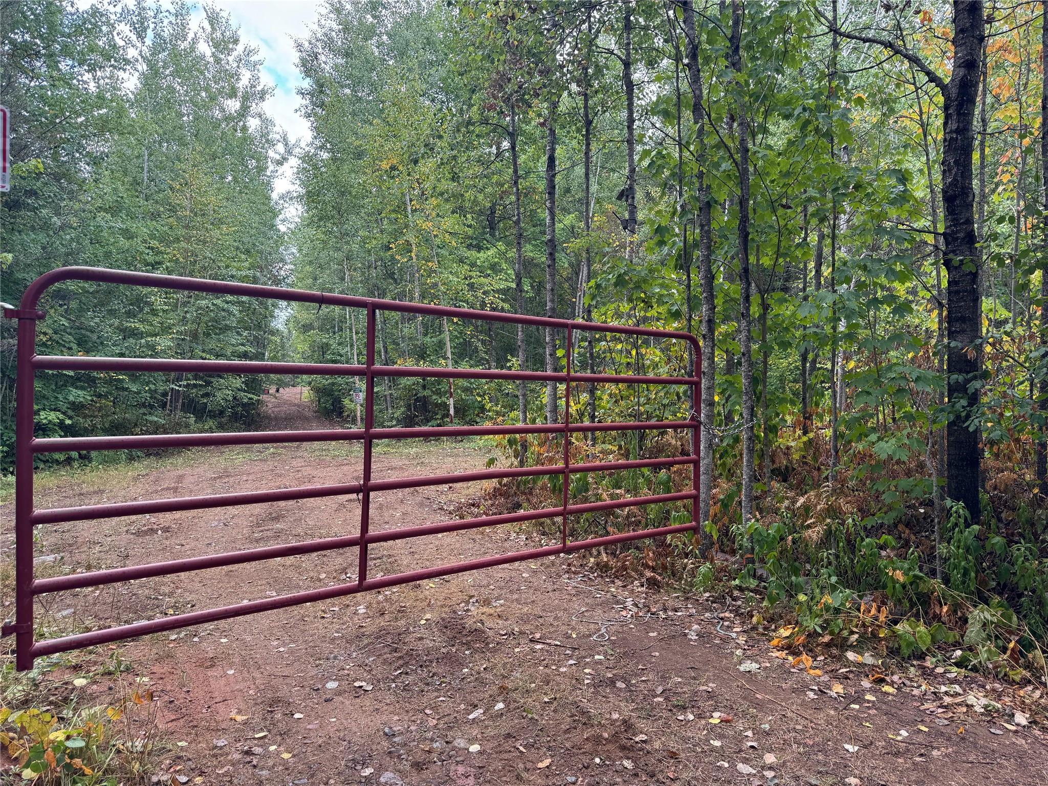 40 Acres On Fr 1769 Property Photo 3