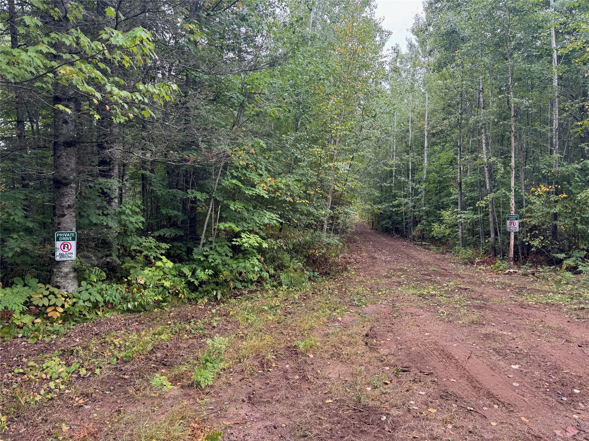 40 Acres On Fr 1769 Property Photo 4