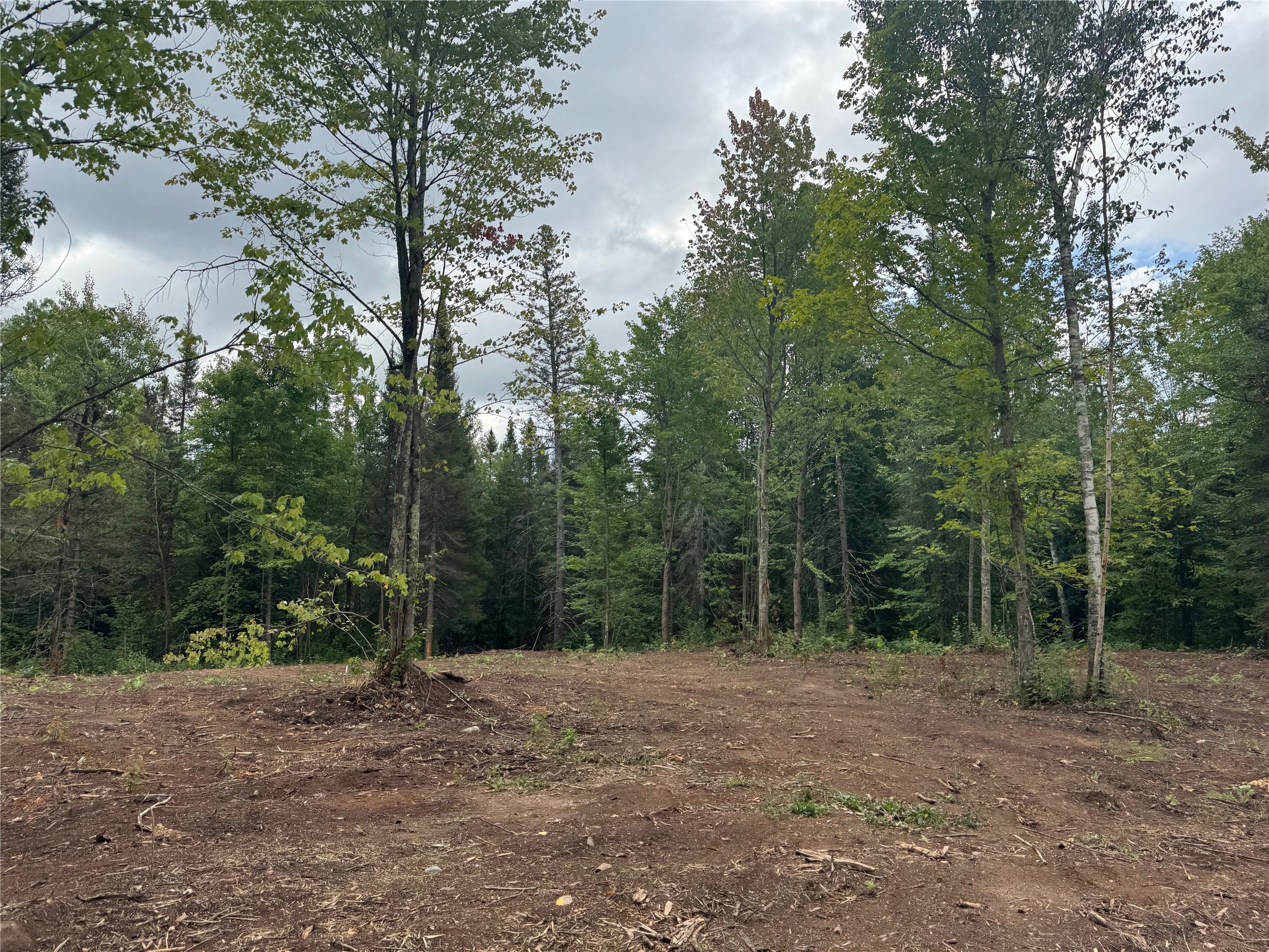 40 Acres On Fr 1769 Property Photo 6