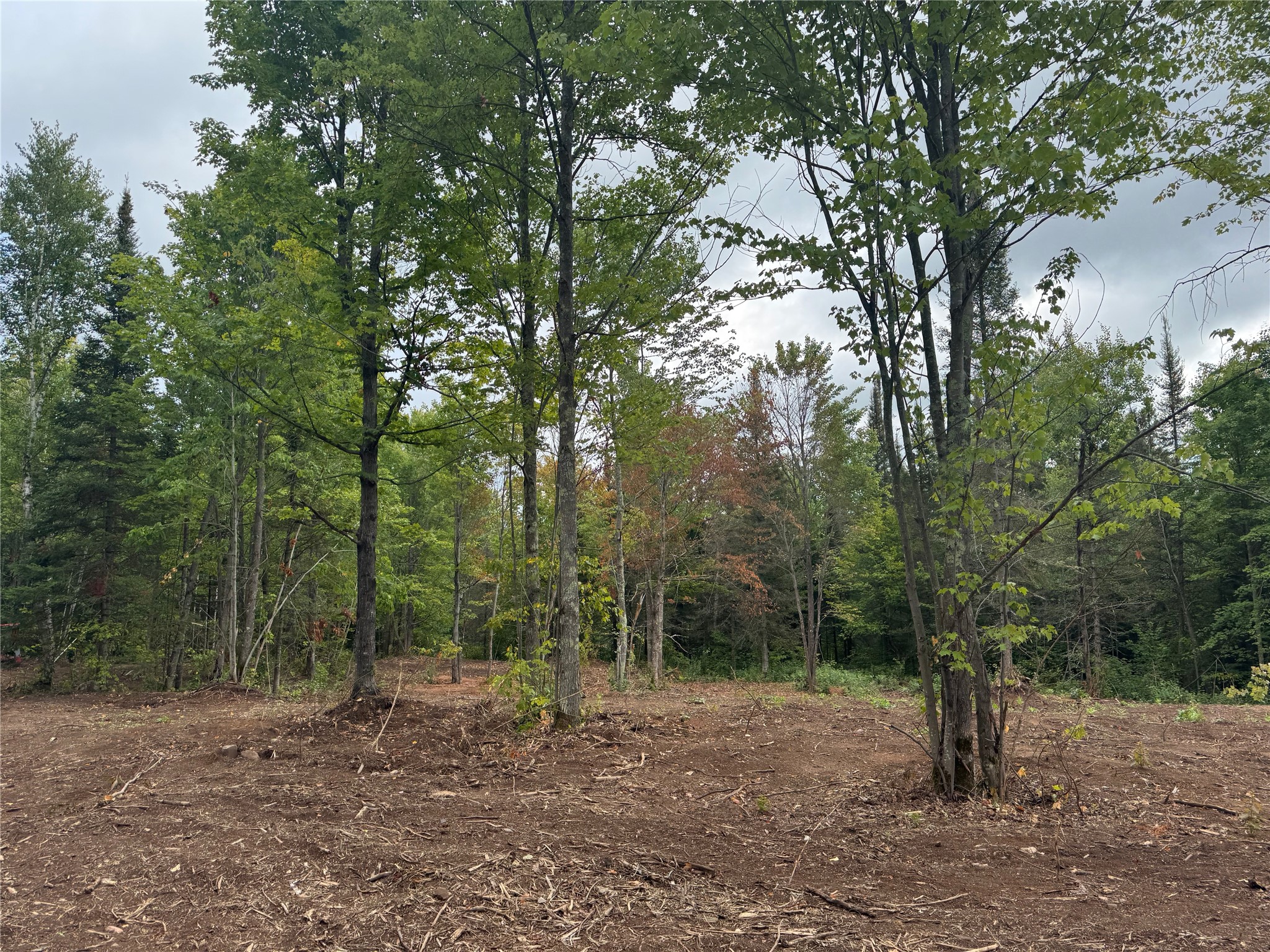 40 Acres On Fr 1769 Property Photo 7
