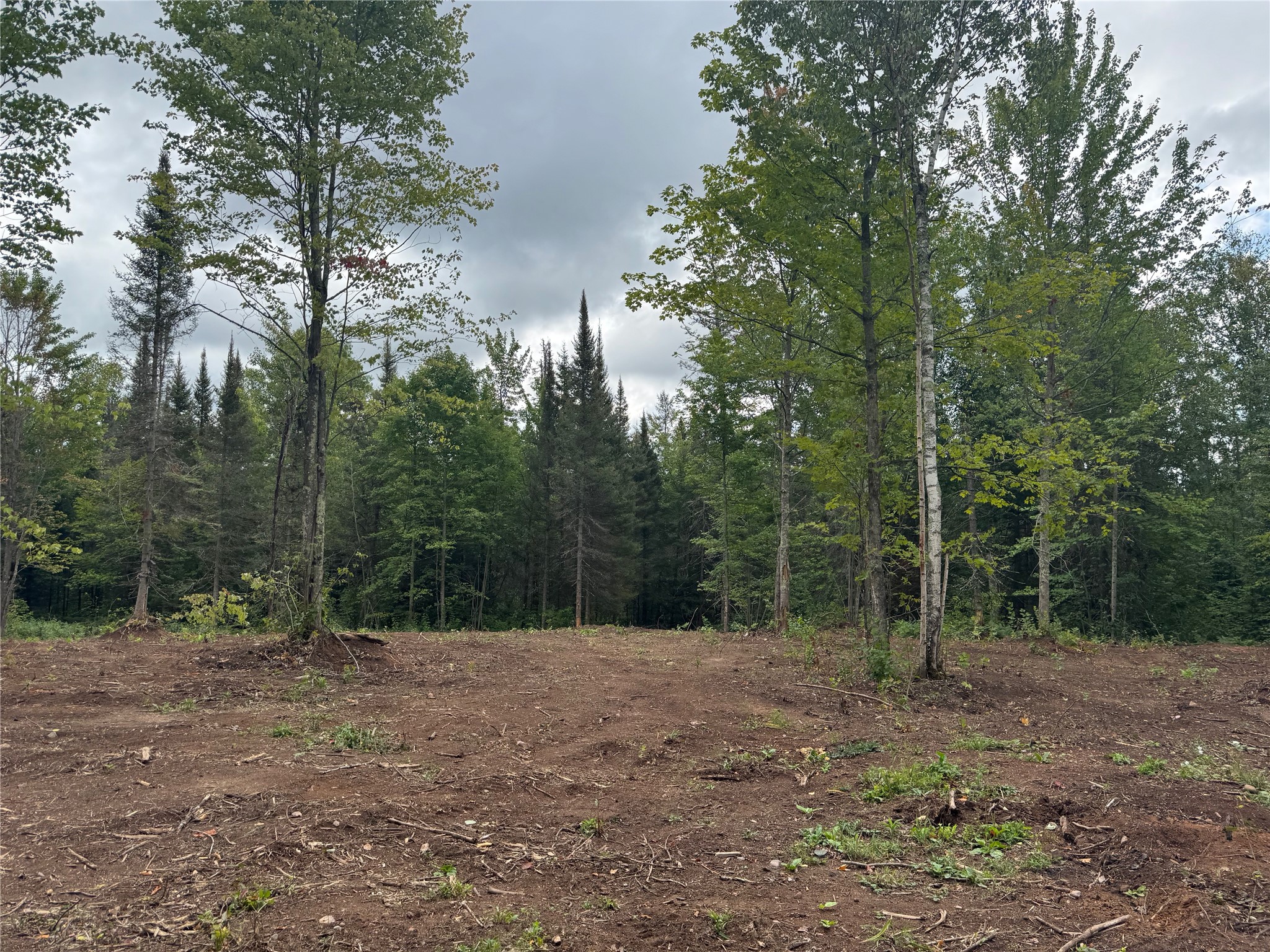 40 Acres On Fr 1769 Property Photo 8