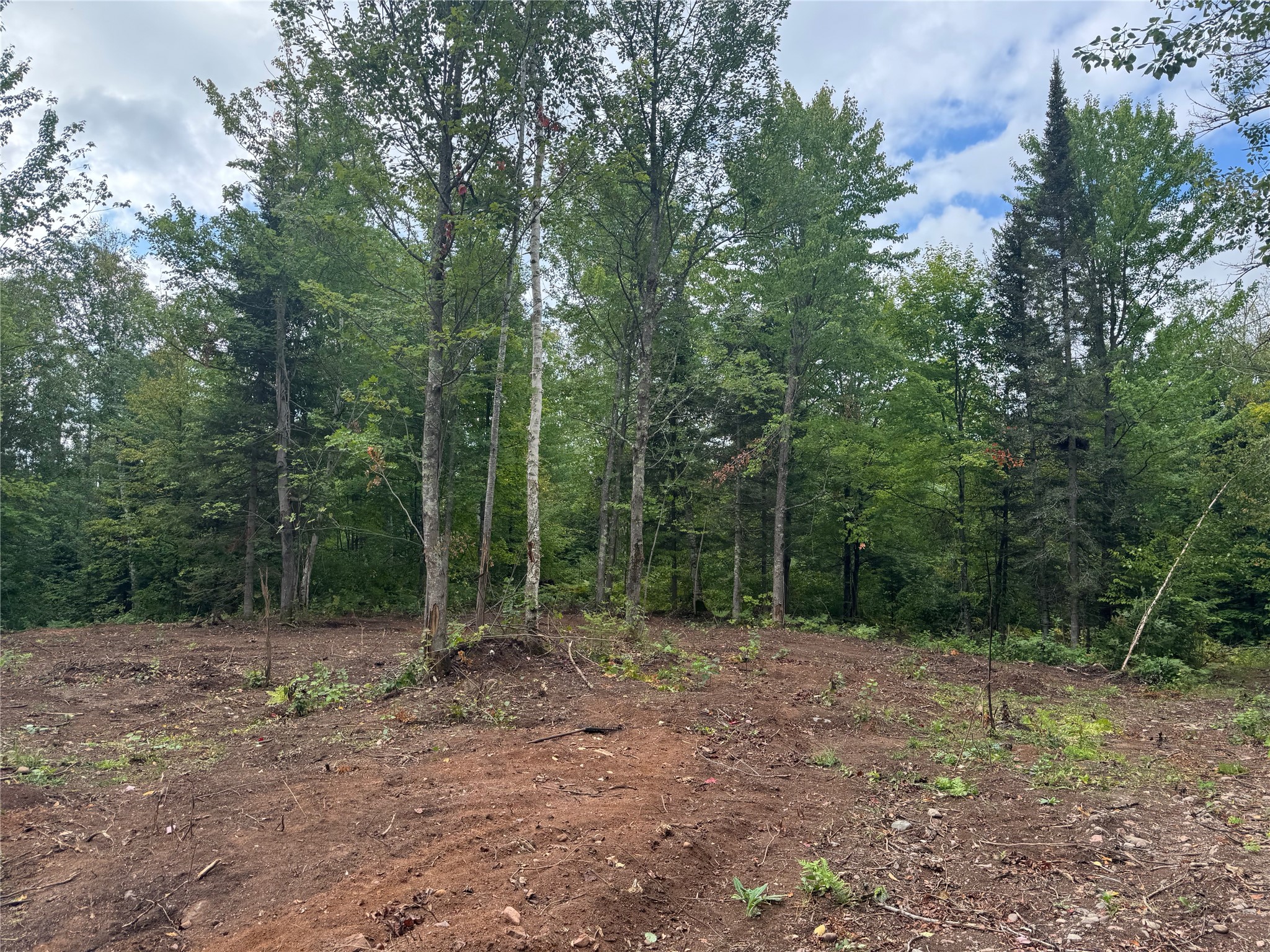 40 Acres On Fr 1769 Property Photo 9