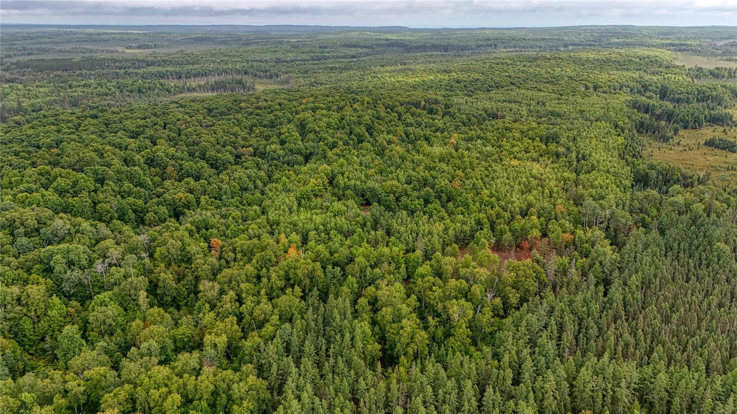 40 Acres On Fr 1769 Property Photo 10