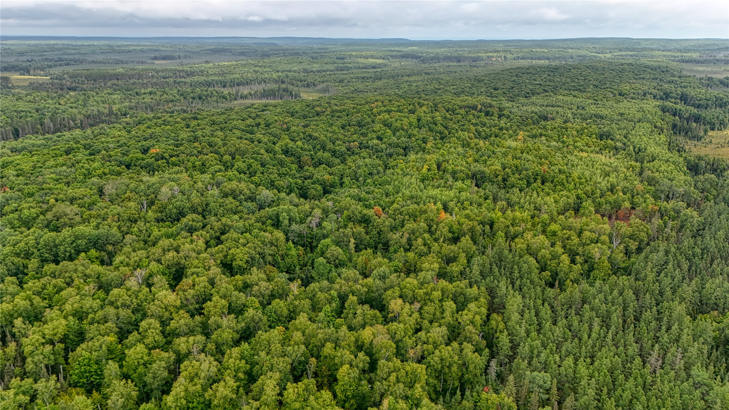 40 Acres On Fr 1769 Property Photo 11