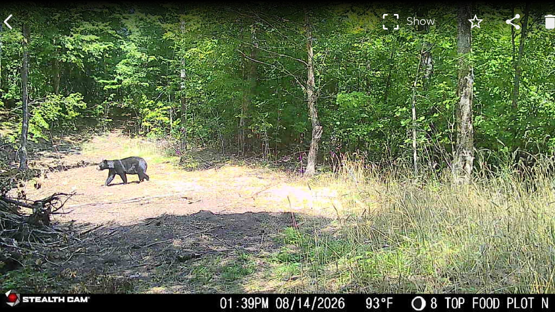 40 Acres On Fr 1769 Property Photo 14