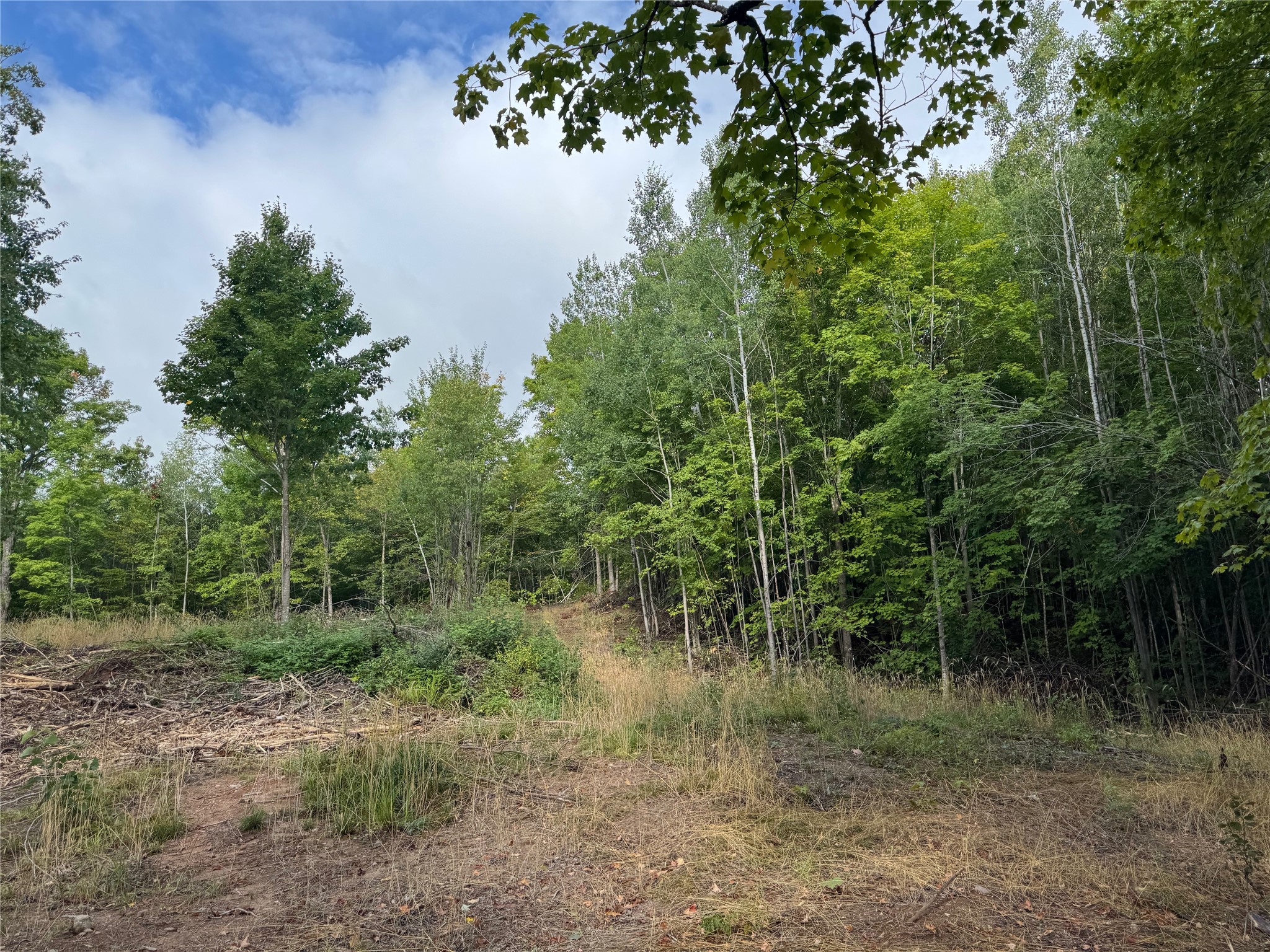 40 Acres On Fr 1769 Property Photo 19