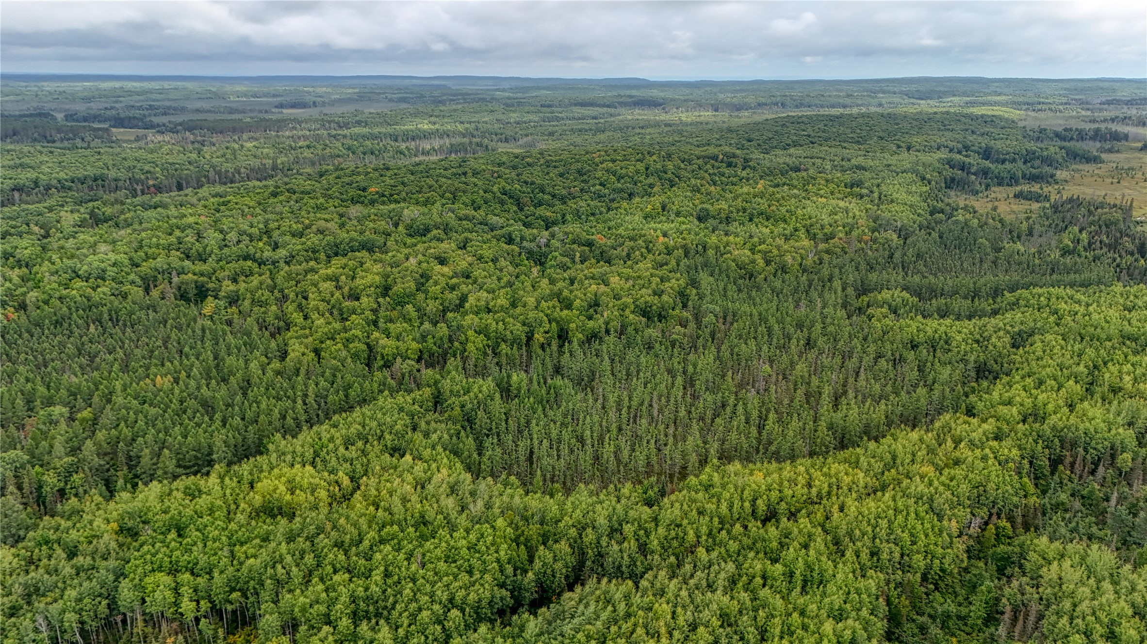 40 Acres On Fr 1769 Property Photo 20