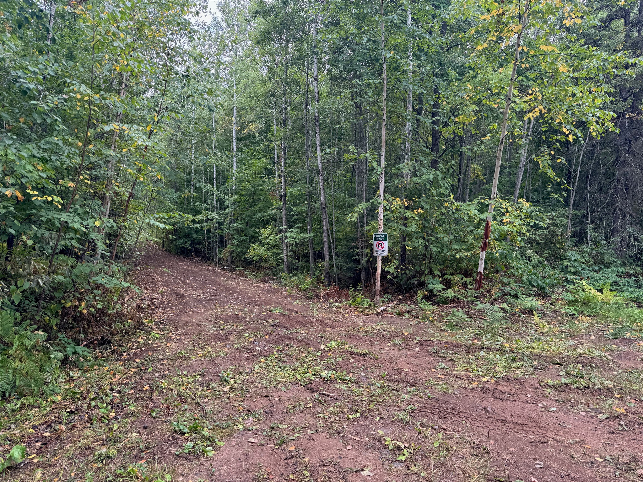 40 Acres On Fr 1769 Property Photo 21