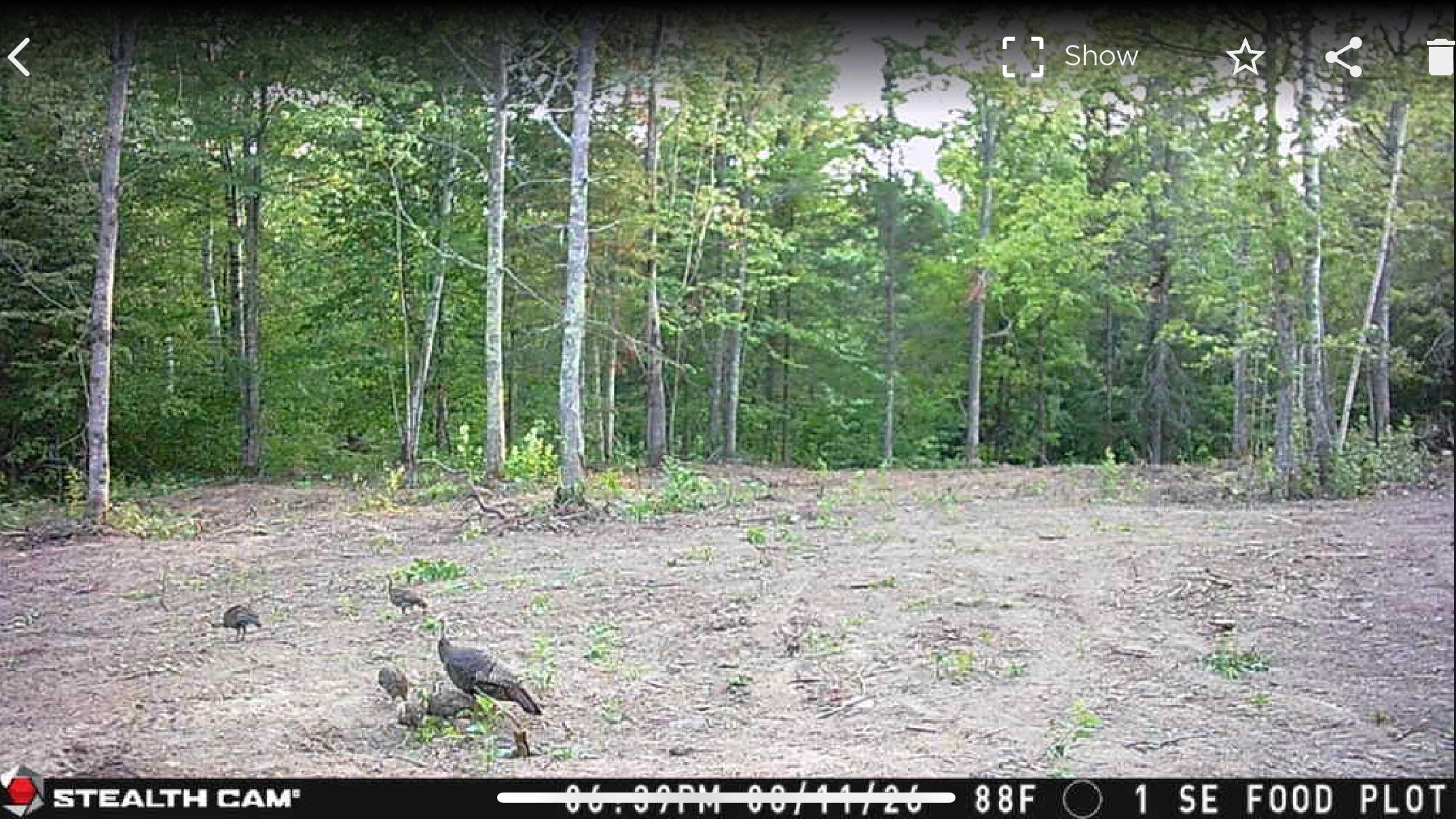 40 Acres On Fr 1769 Property Photo 22