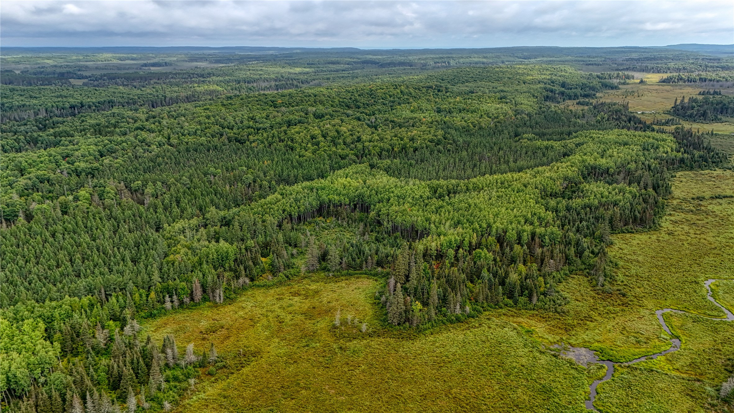 40 Acres On Fr 1769 Property Photo 23
