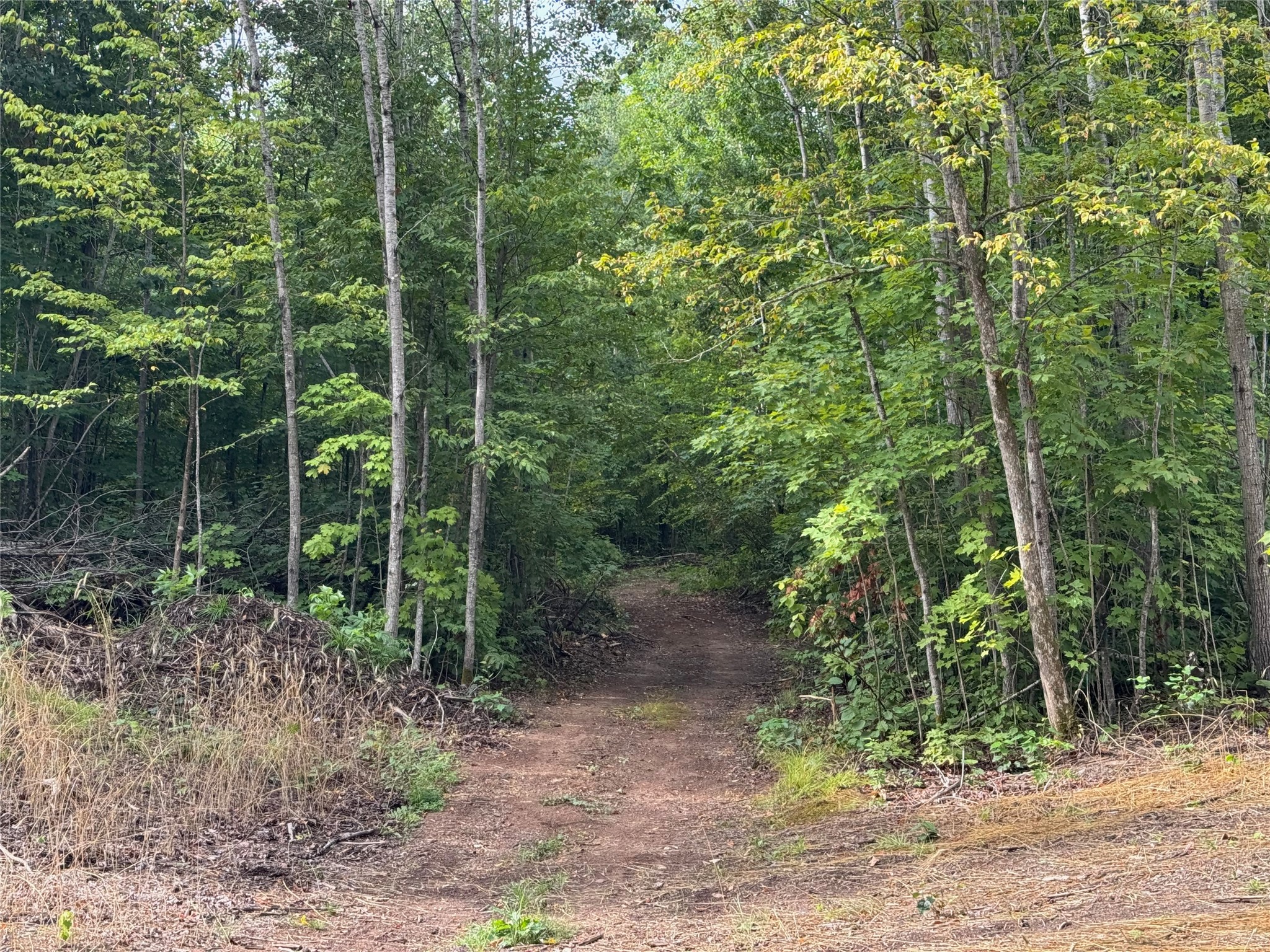 40 Acres On Fr 1769 Property Photo 24