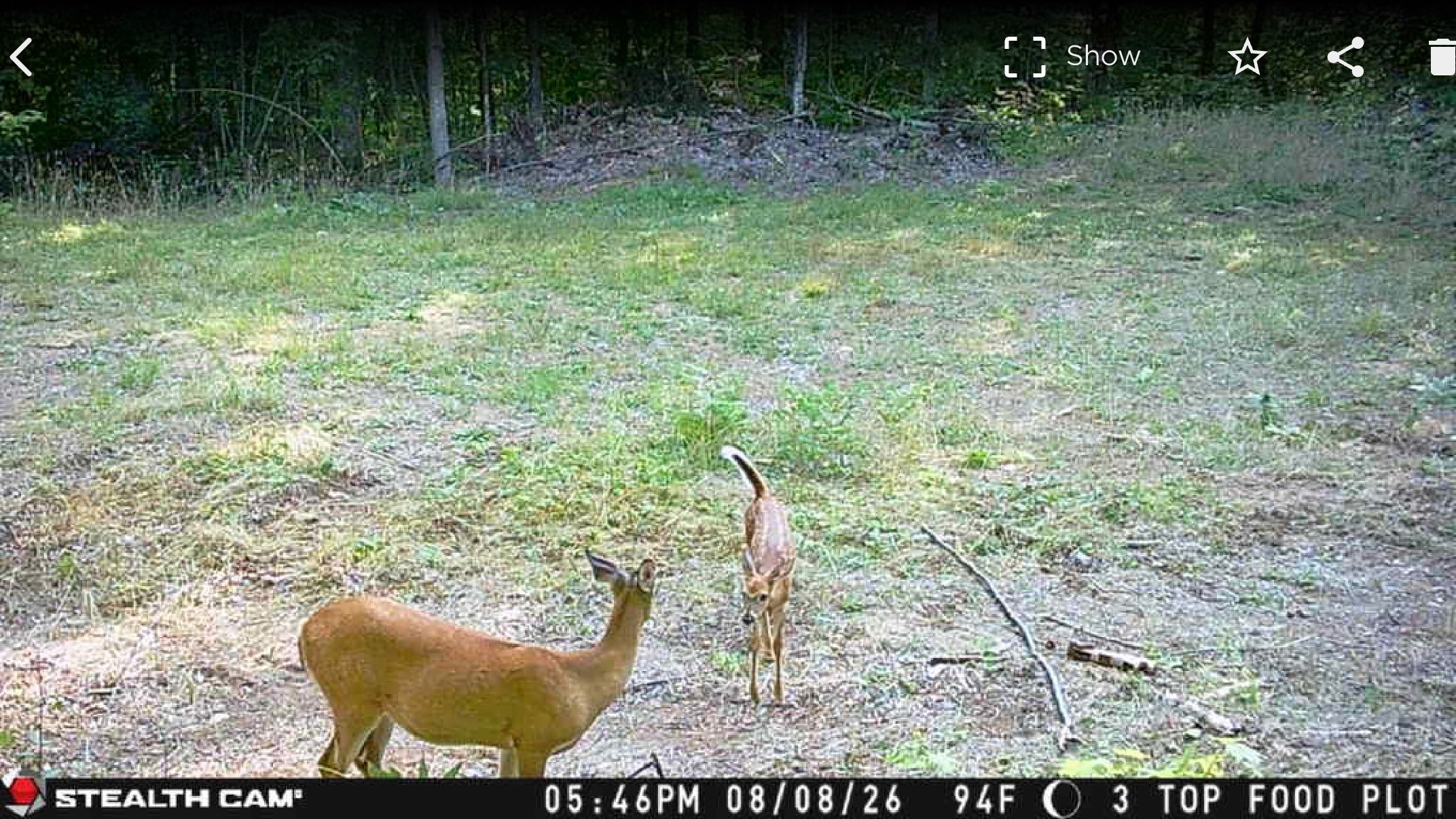 40 Acres On Fr 1769 Property Photo 25
