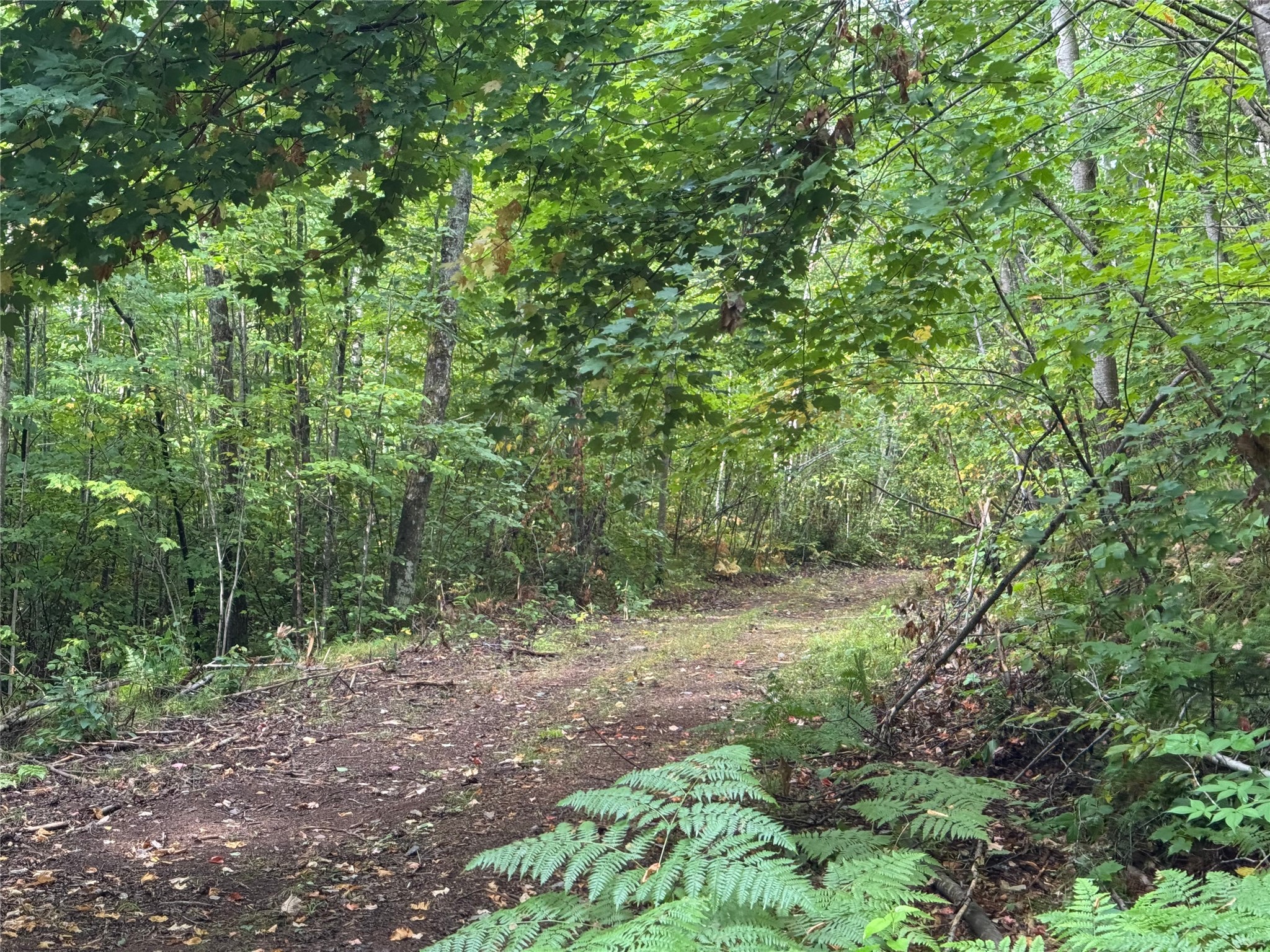40 Acres On Fr 1769 Property Photo 27