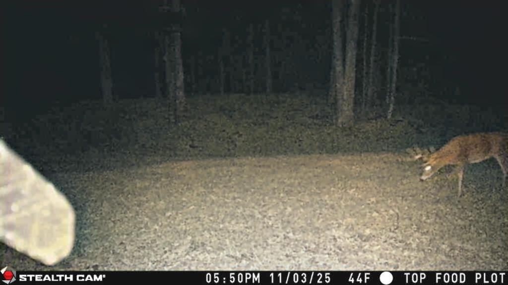 40 Acres On Fr 1769 Property Photo 28