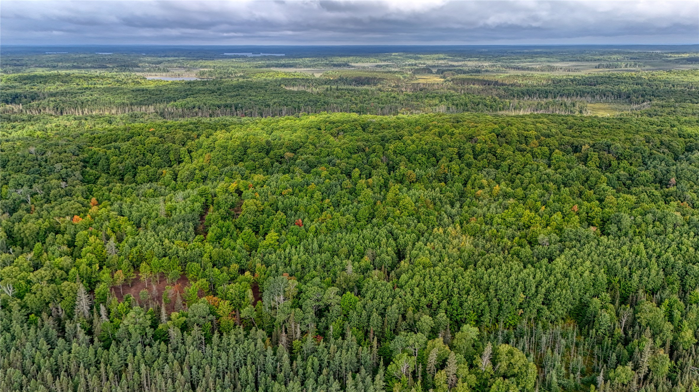 40 Acres On Fr 1769 Property Photo 29