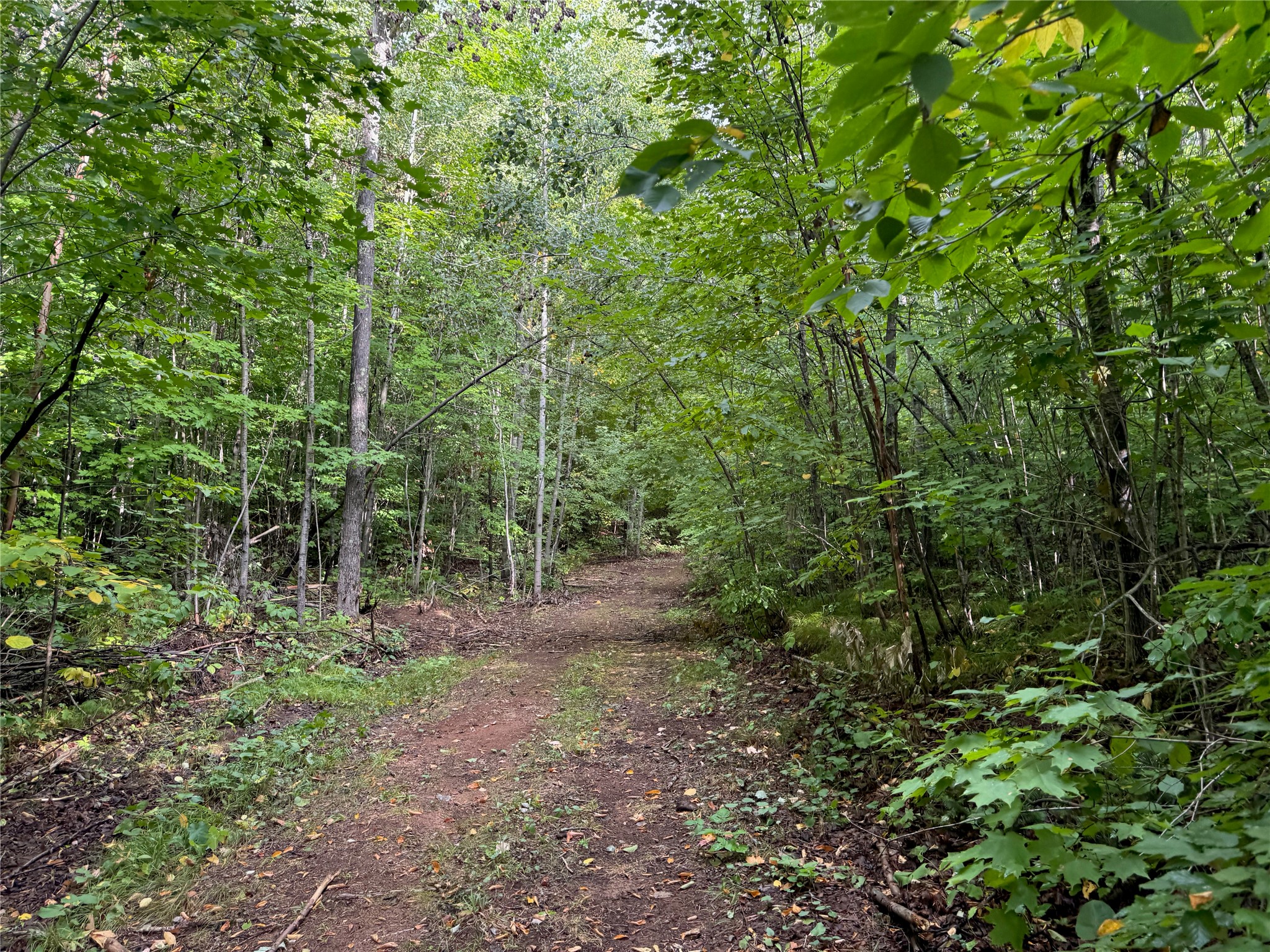 40 Acres On Fr 1769 Property Photo 30