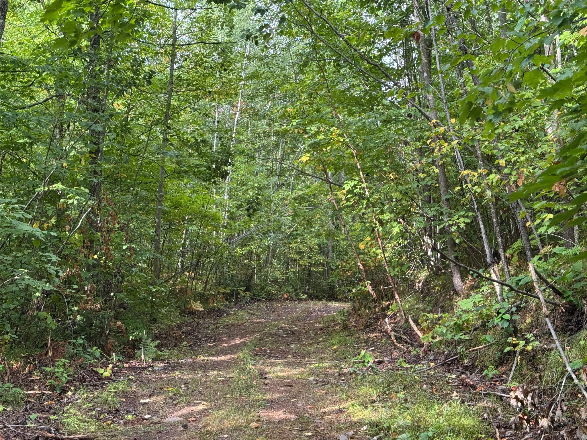 40 Acres On Fr 1769 Property Photo 33