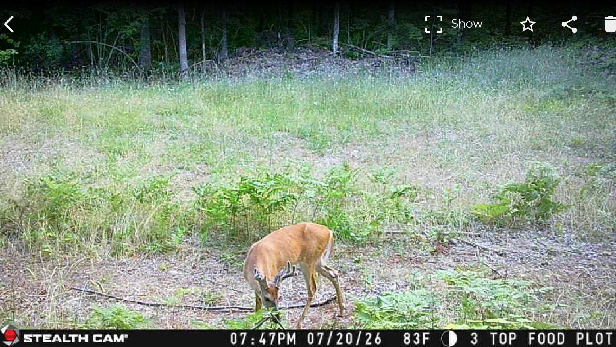 40 Acres On Fr 1769 Property Photo 34