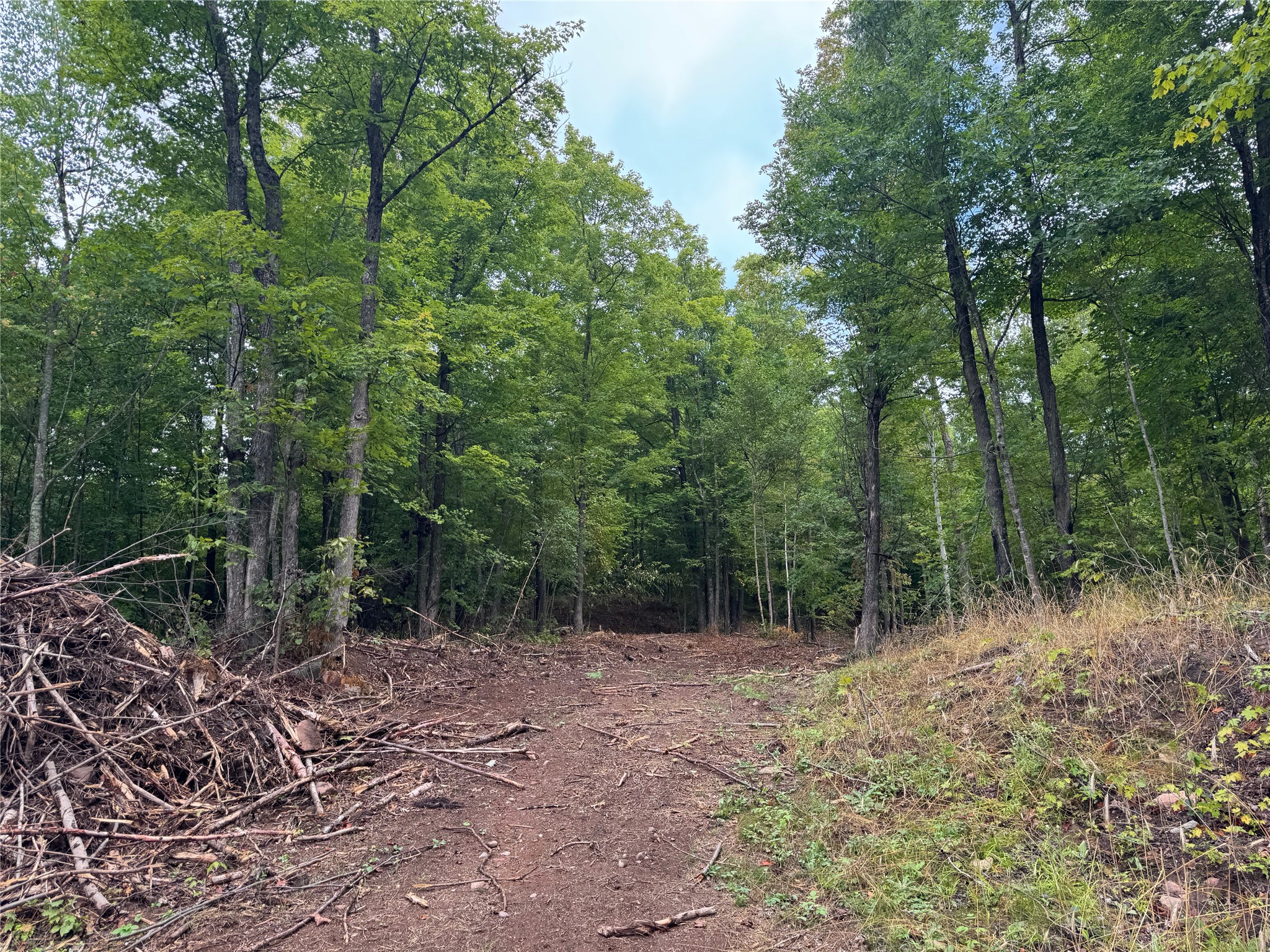 40 Acres On Fr 1769 Property Photo 38