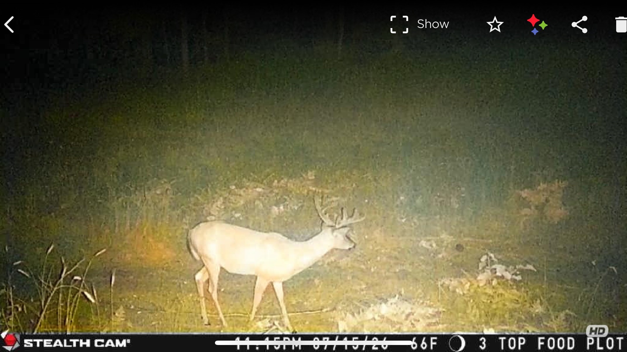 40 Acres On Fr 1769 Property Photo 39