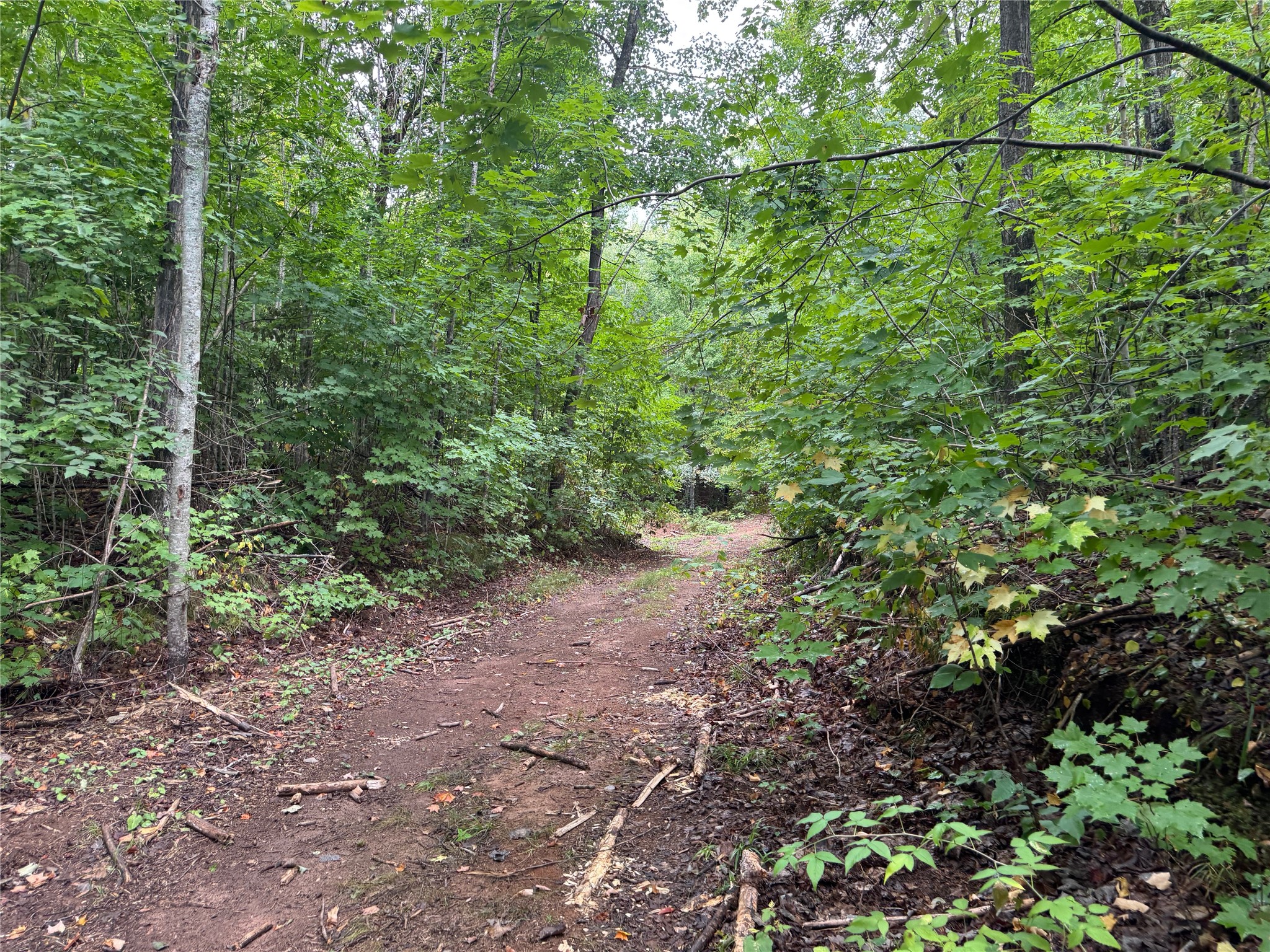 40 Acres On Fr 1769 Property Photo 40