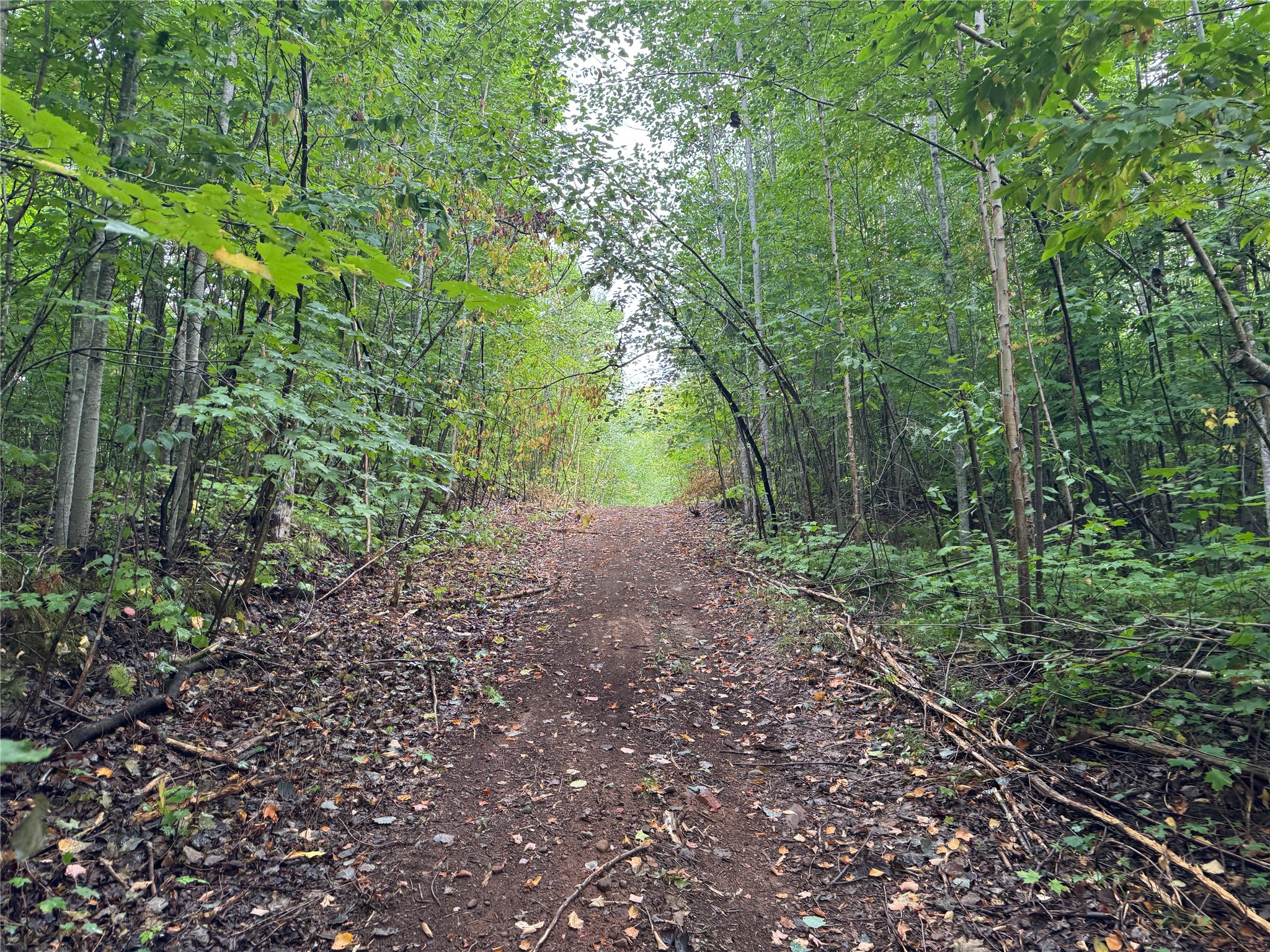 40 Acres On Fr 1769 Property Photo 41