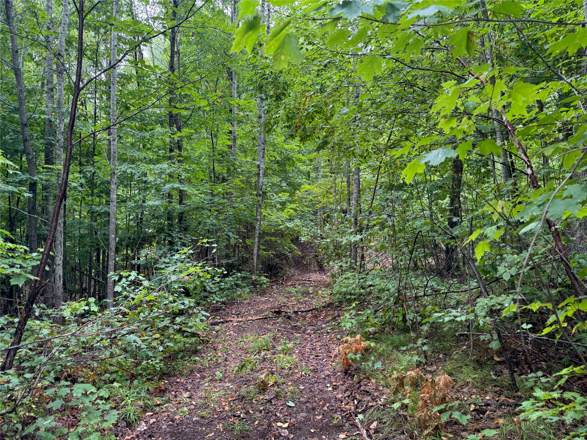 40 Acres On Fr 1769 Property Photo 44