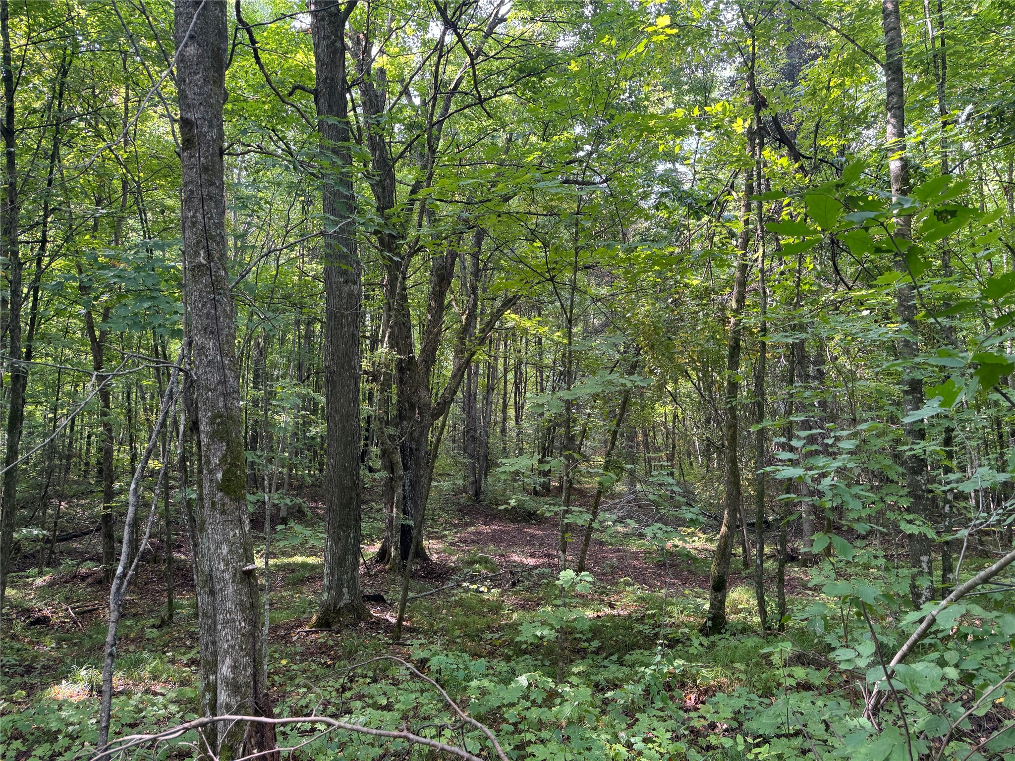 40 Acres On Fr 1769 Property Photo 45