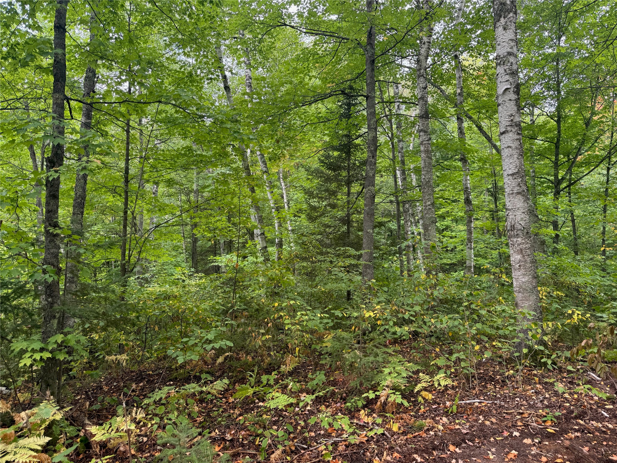 40 Acres On Fr 1769 Property Photo 46