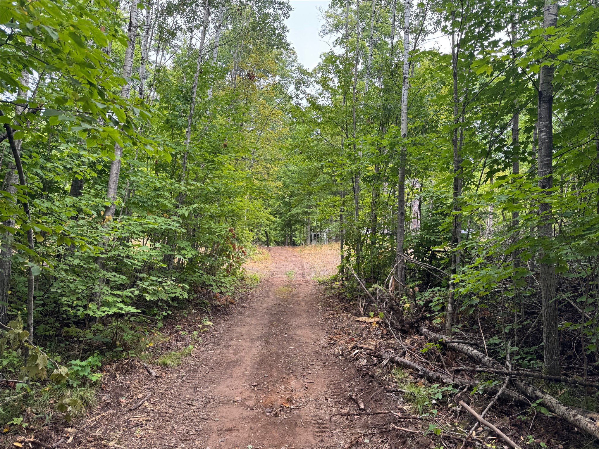 40 Acres On Fr 1769 Property Photo 48