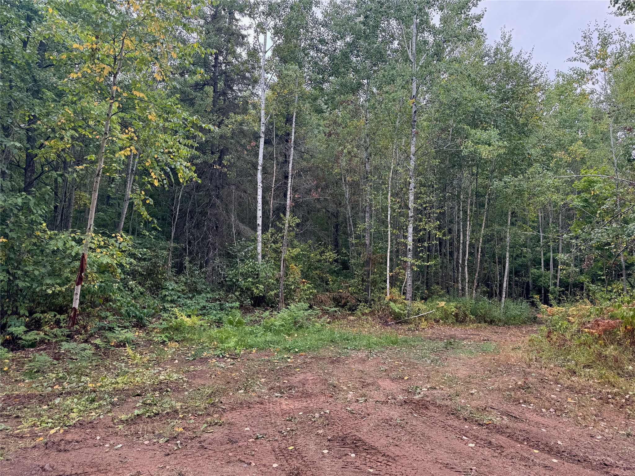 40 Acres On Fr 1769 Property Photo 49